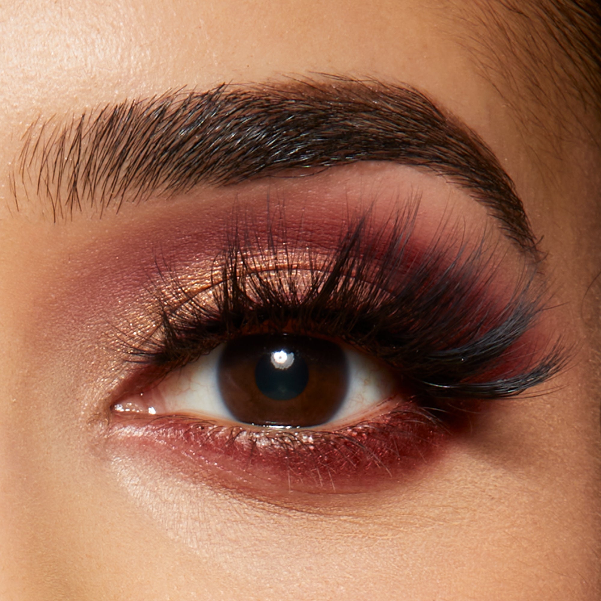 Close-up of a brown eye with long, voluminous, and curled false eyelashes paired with shimmery rose gold and deep burgundy eyeshadow.