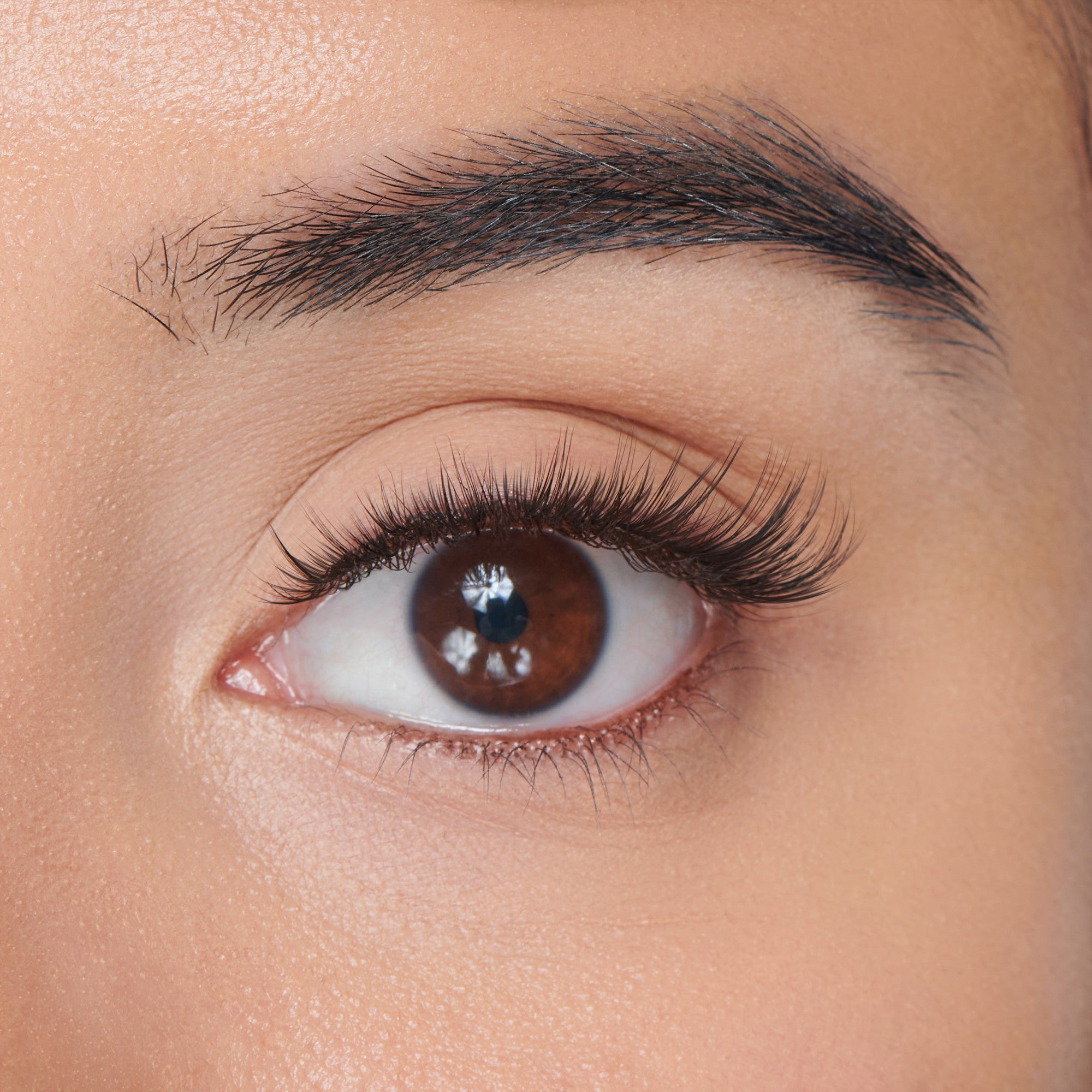 Close-up of a brown eye with long, natural-looking, curled false lashes applied, showcasing the KISS The New Natural Trio Lashes in Pearl Earring style.