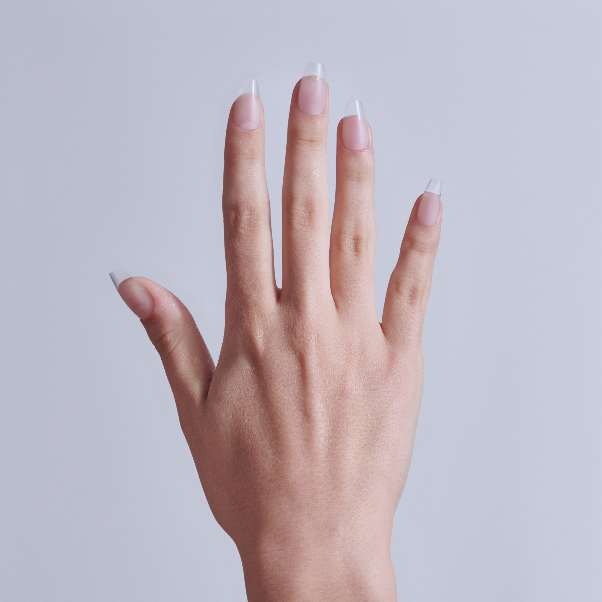 Hand displaying classic French manicure with white tips and pale pink nail beds