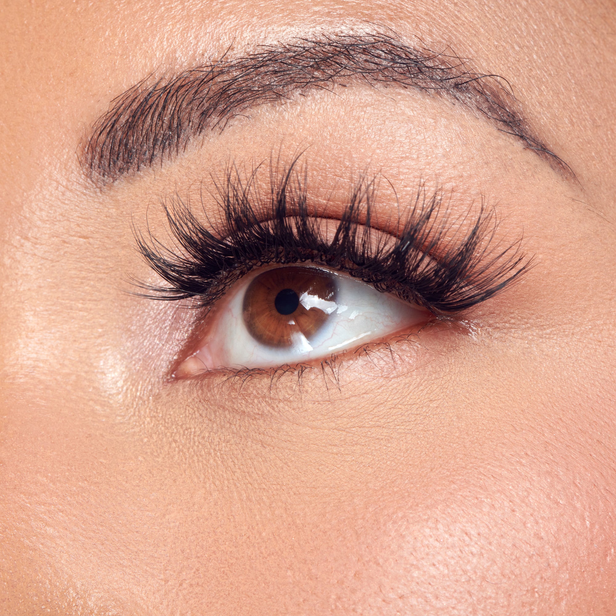 Close-up of a brown eye with full black lashes and defined eyebrow against peachy skin.