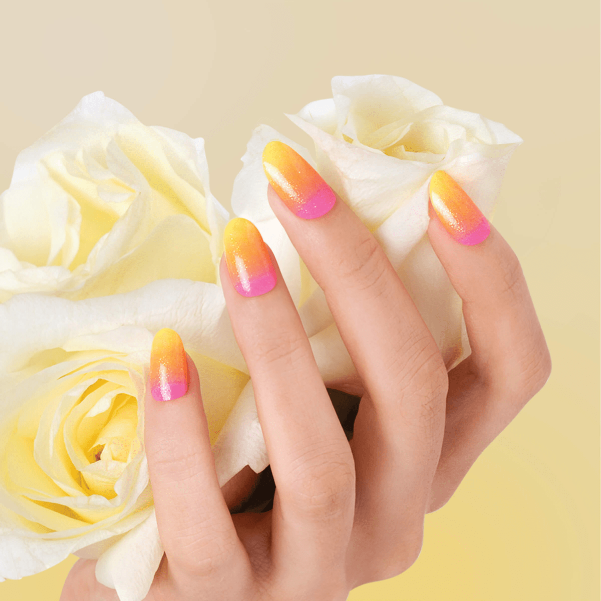 Hand with full-covered oval nails featuring a gradient design from pink at the tips to orange and yellow near the cuticles, holding white roses.