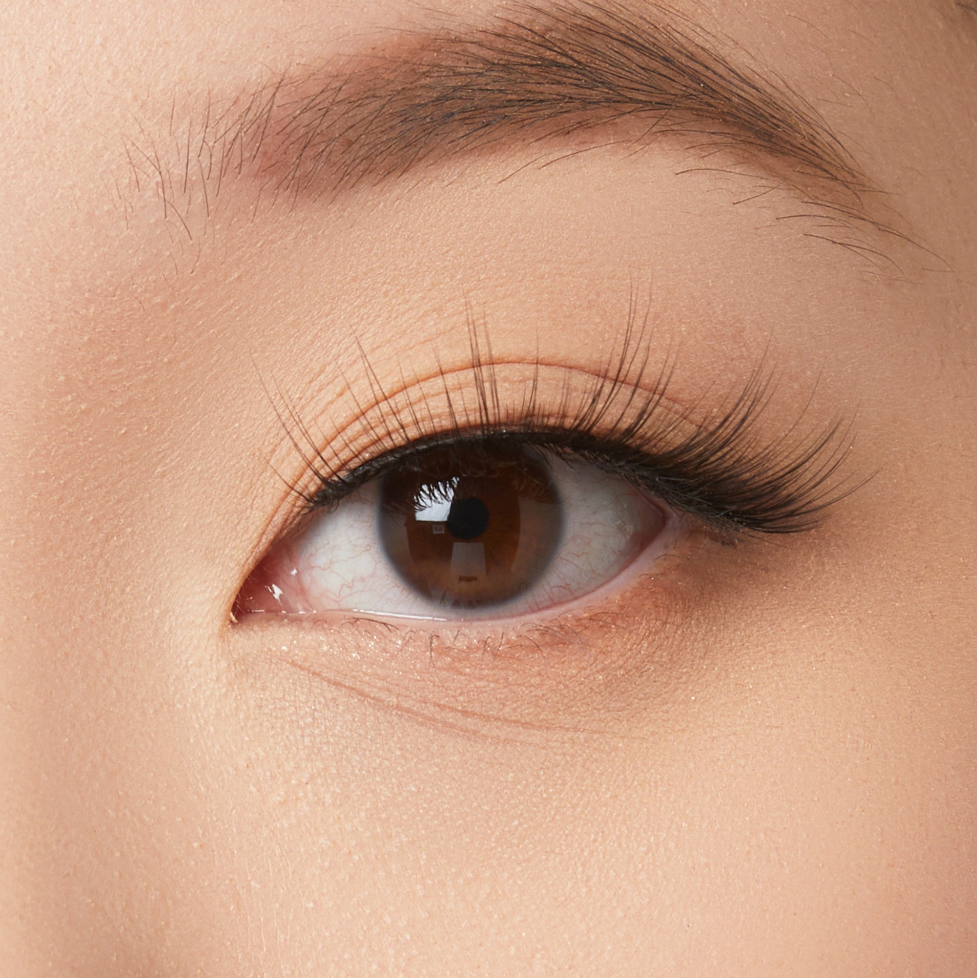 Close-up of a brown eye with defined eyebrow and voluminous black lashes on fair skin.
