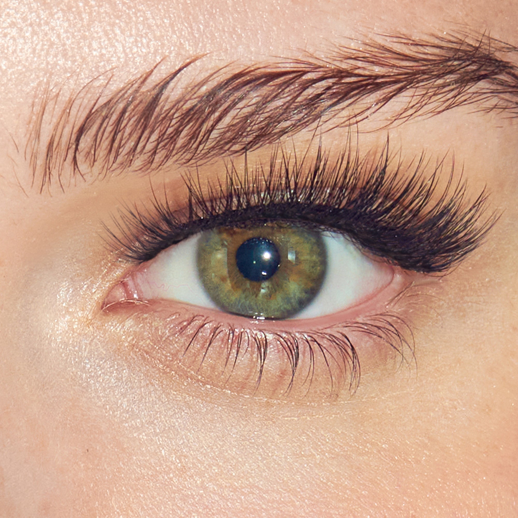 Close-up of eye with green iris, full black lashes, and defined brown eyebrows.