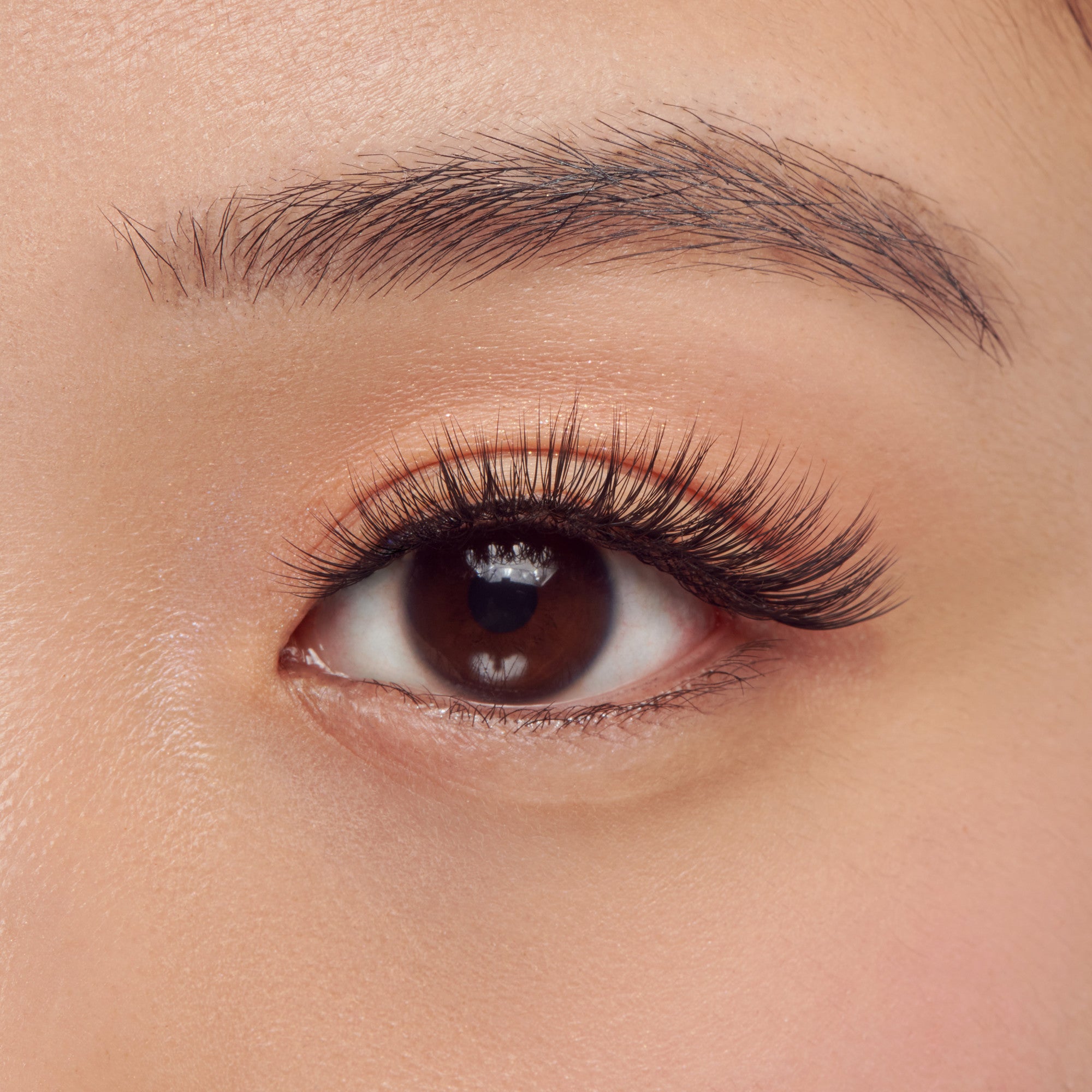 Close-up of a person&