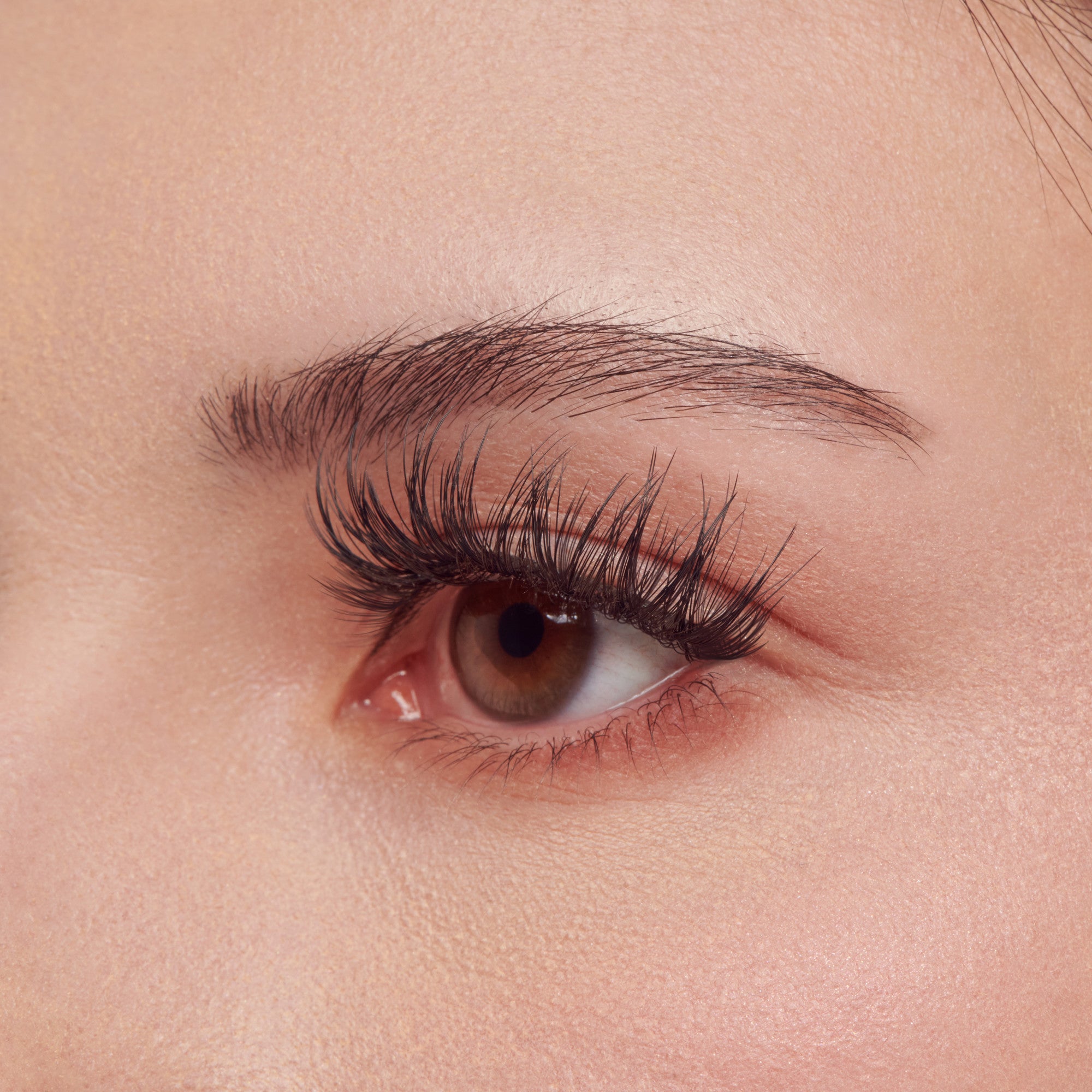 Close-up of a person&
