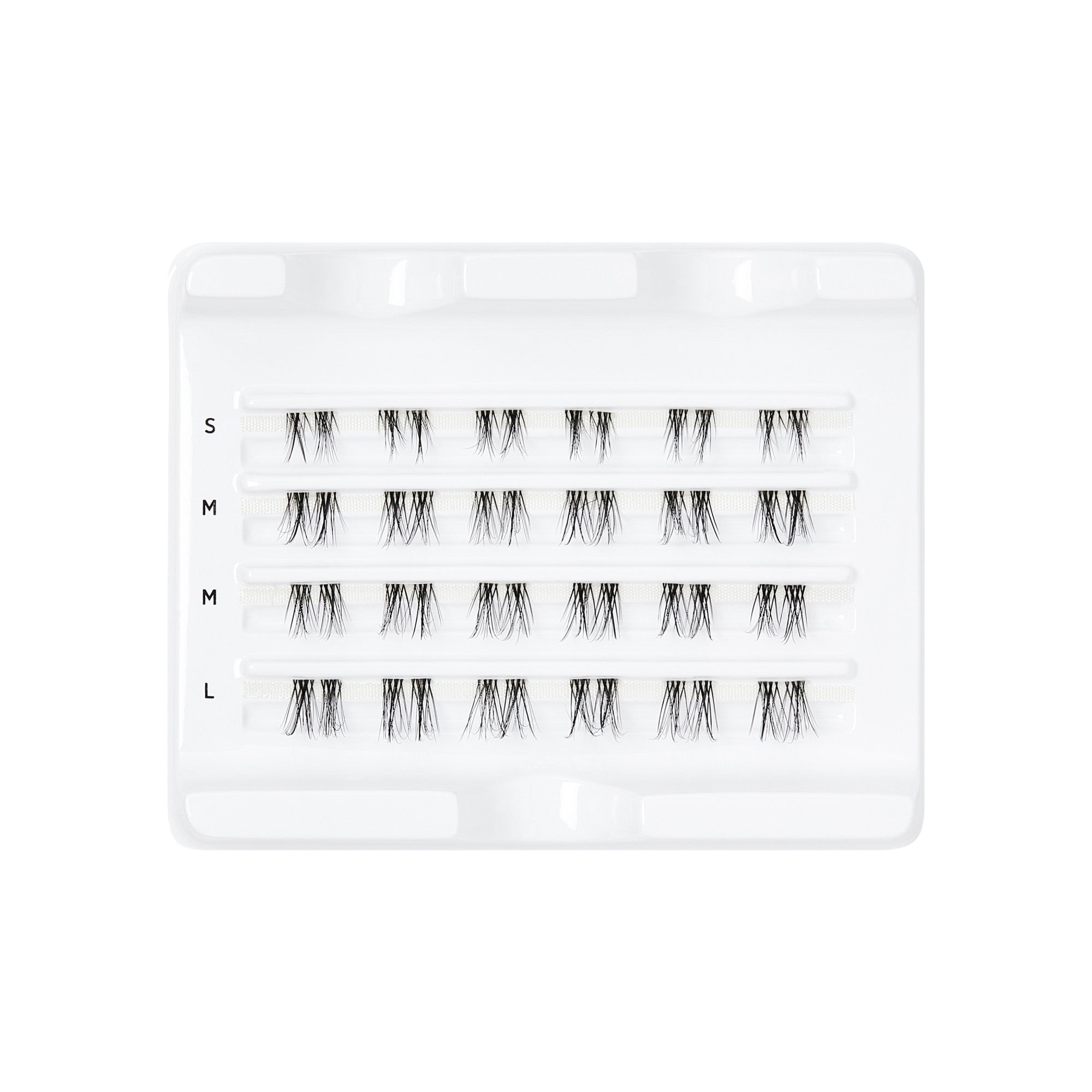 Tray of FALSCARA clear band false eyelashes arranged in four rows with varying sizes labeled S, M, and L on a white background.