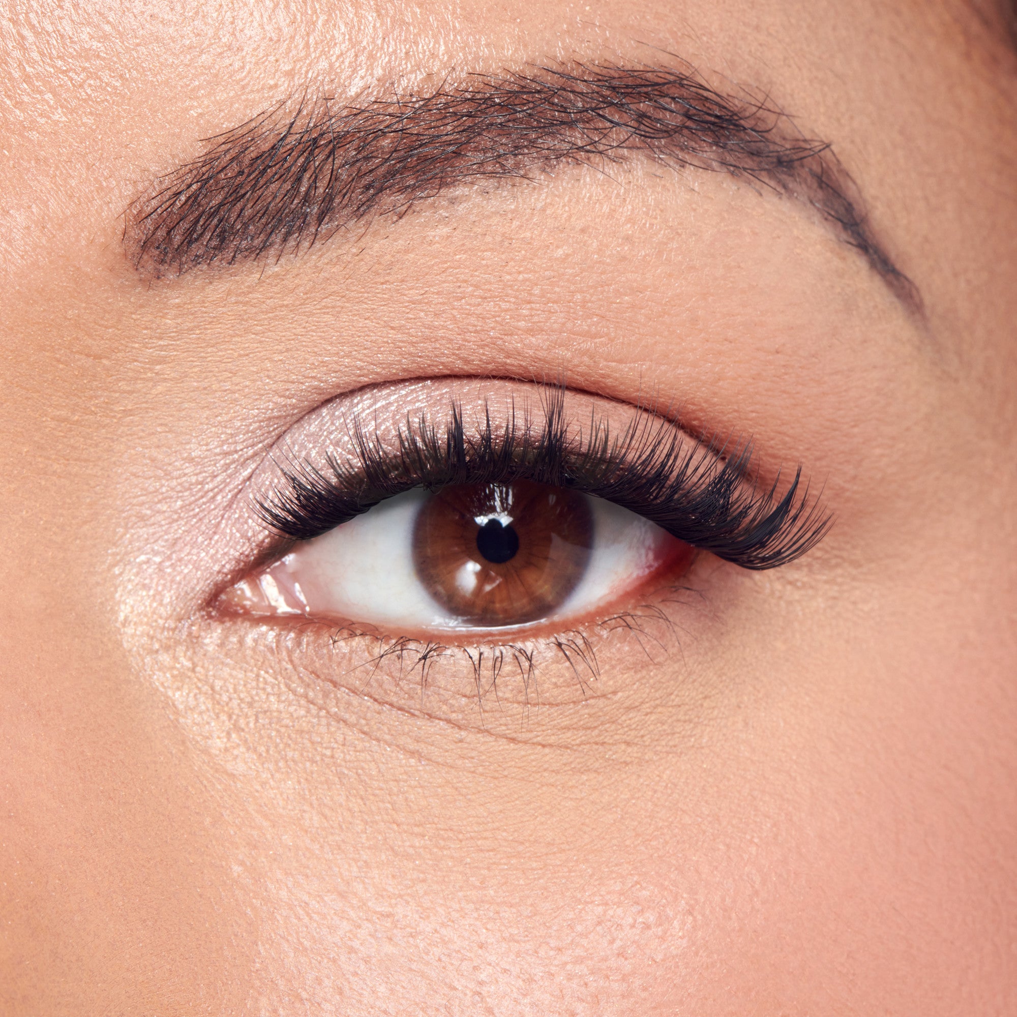 Close-up of eye with dark eyebrows, black mascara lashes, and brown iris on peachy skin.