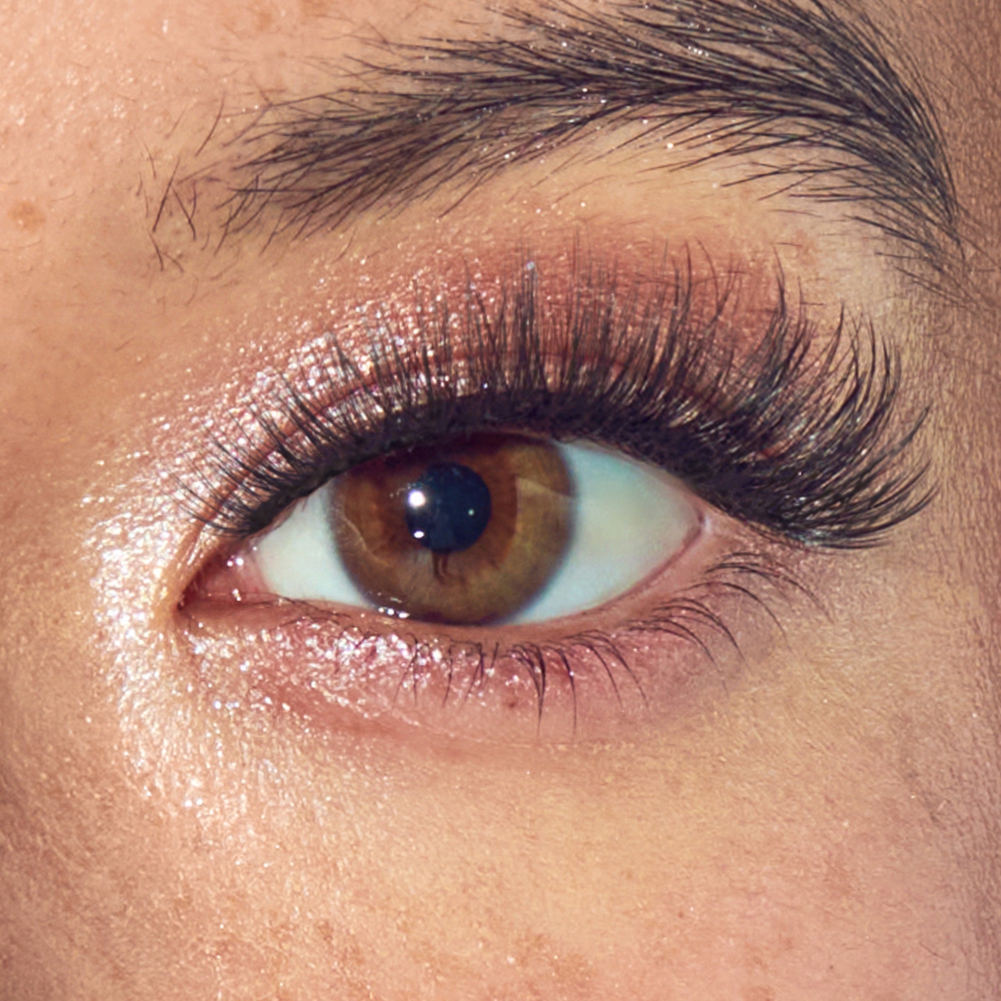 Close-up of eye with full black lashes, brown iris, and shimmery eyeshadow.