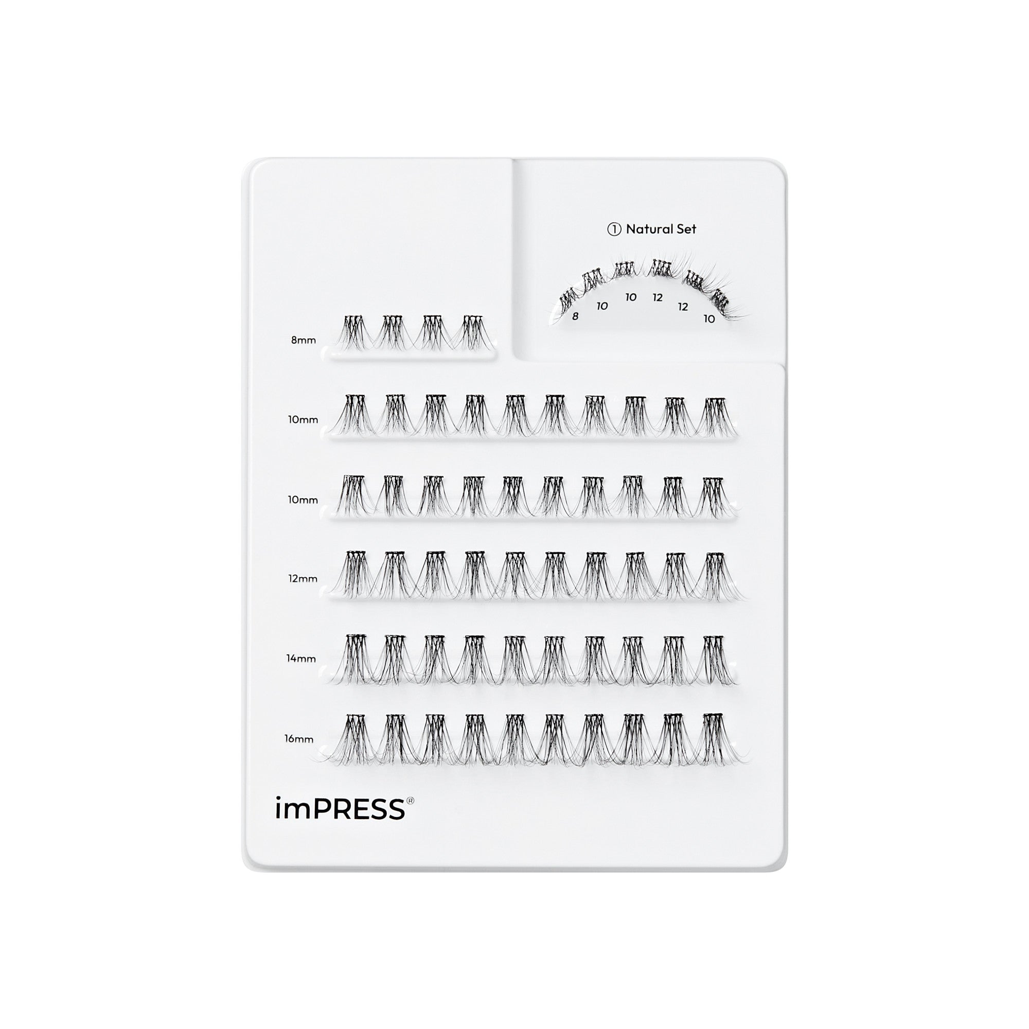 imPRESS Natural Set lash samples in multiple lengths from 8mm to 16mm