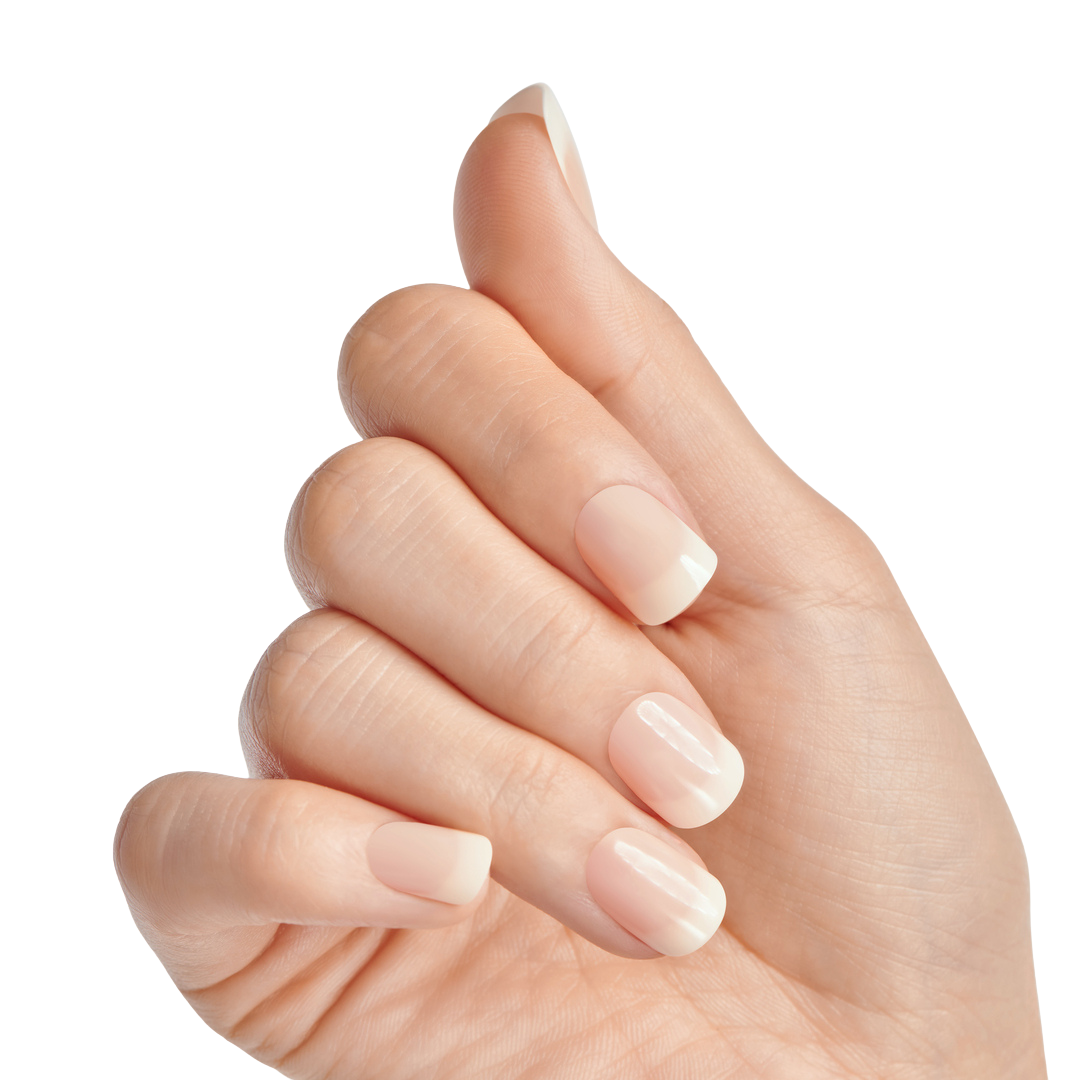 Close-up of a hand with neatly shaped French manicure press-on nails in a natural, nude color with glossy white tips.