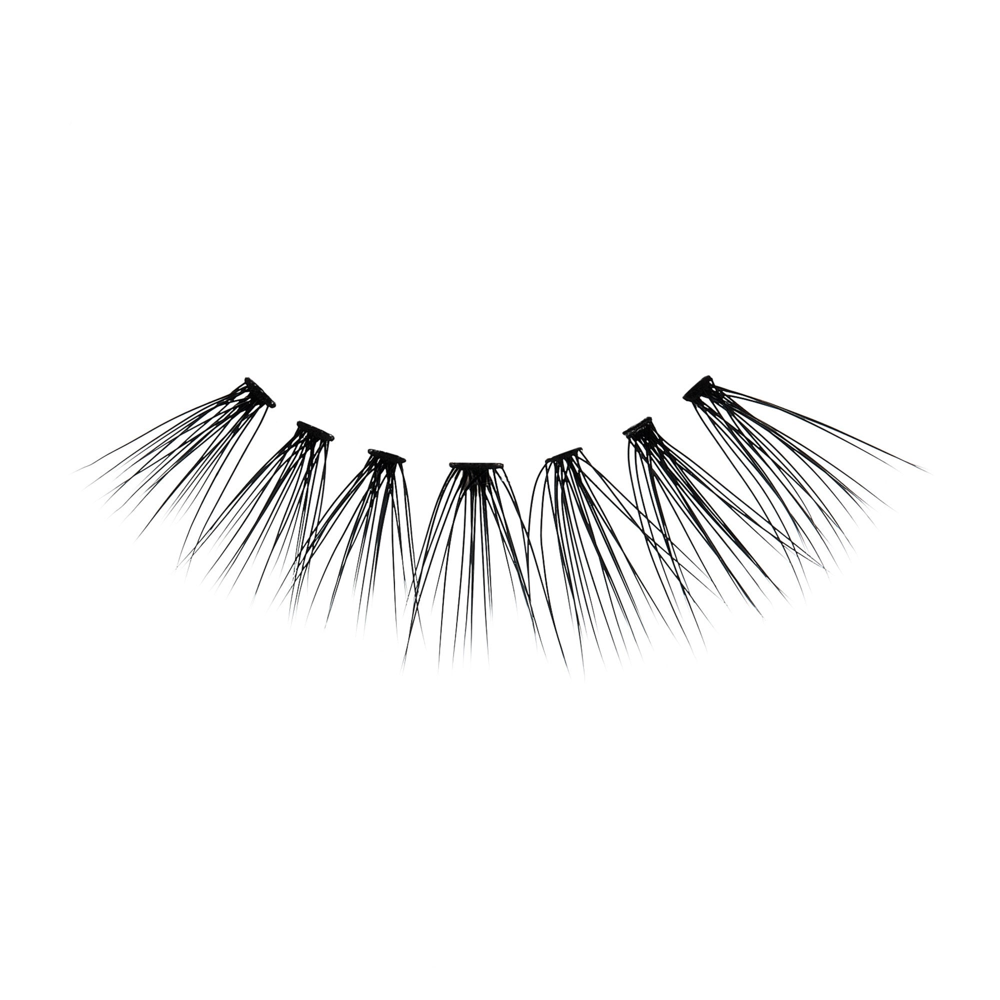 Black individual lash clusters fanned out in a curved line on a white background, designed for DIY faux lash extensions.