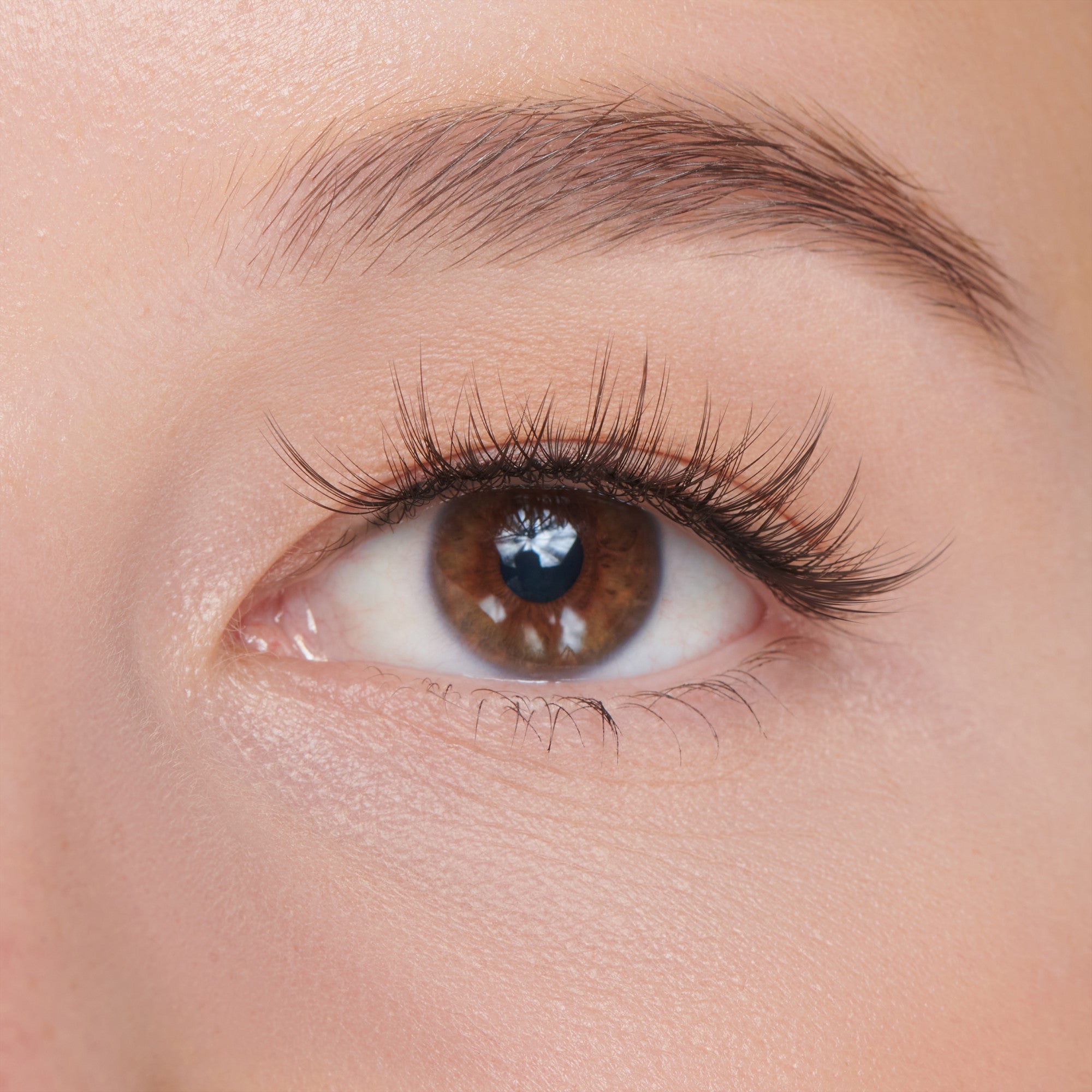 The image features a close-up of a human eye, showcasing a rich brown iris surrounded by long, delicate eyelashes. The skin around the eye appears smooth and lightly illuminated, highlighting the natural beauty of the eye. The eyebrow is well-groomed and complements the overall appearance. The focus is on the eye, drawing attention to its intricate details and the subtle reflections within the iris.