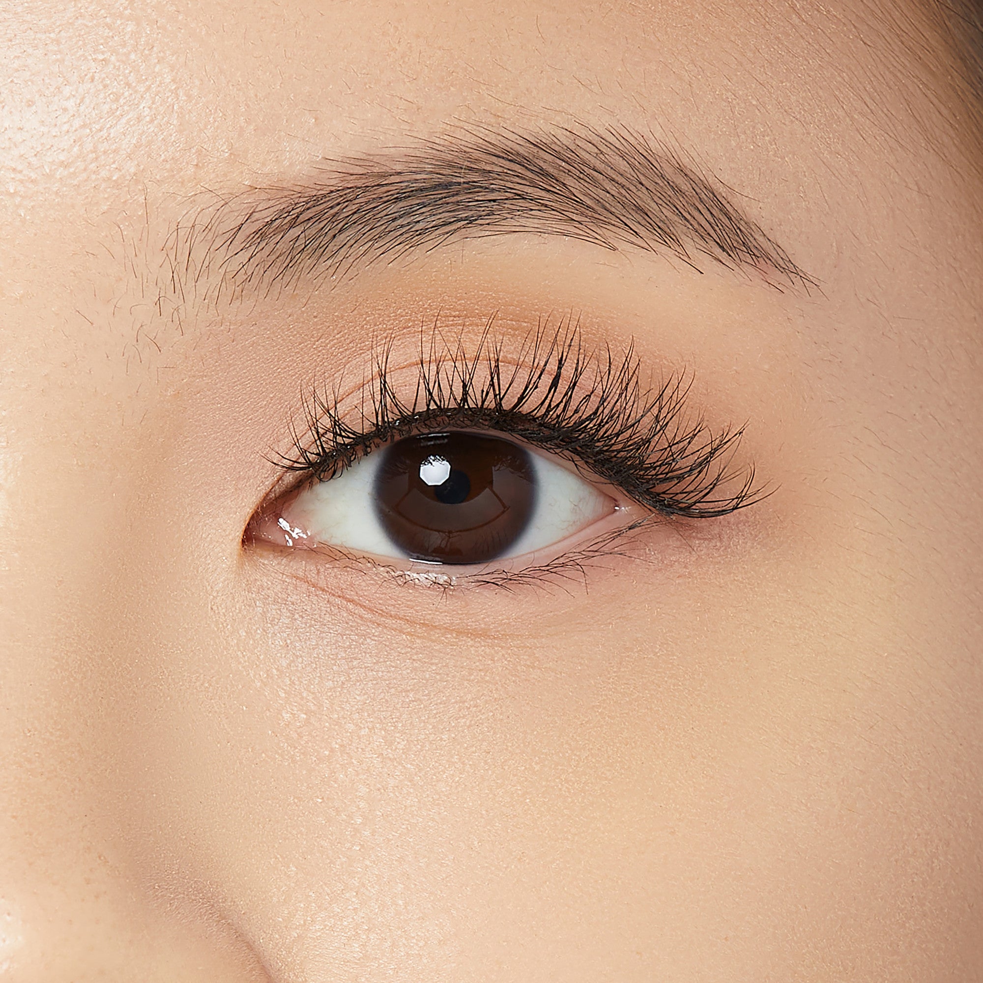 Close-up view of a brown eye wearing a full strip silver ring false eyelash, showing natural-looking, long, and curled lashes on a smooth, light skin tone.