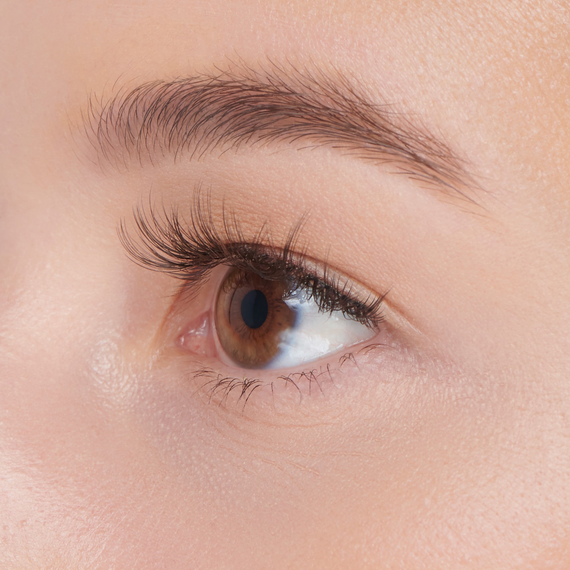 The image features a close-up of a human eye, showcasing a rich brown iris and long, delicate eyelashes. The skin around the eye appears smooth and well-groomed, with a natural complexion. The eyebrow is neatly shaped and complements the eye&