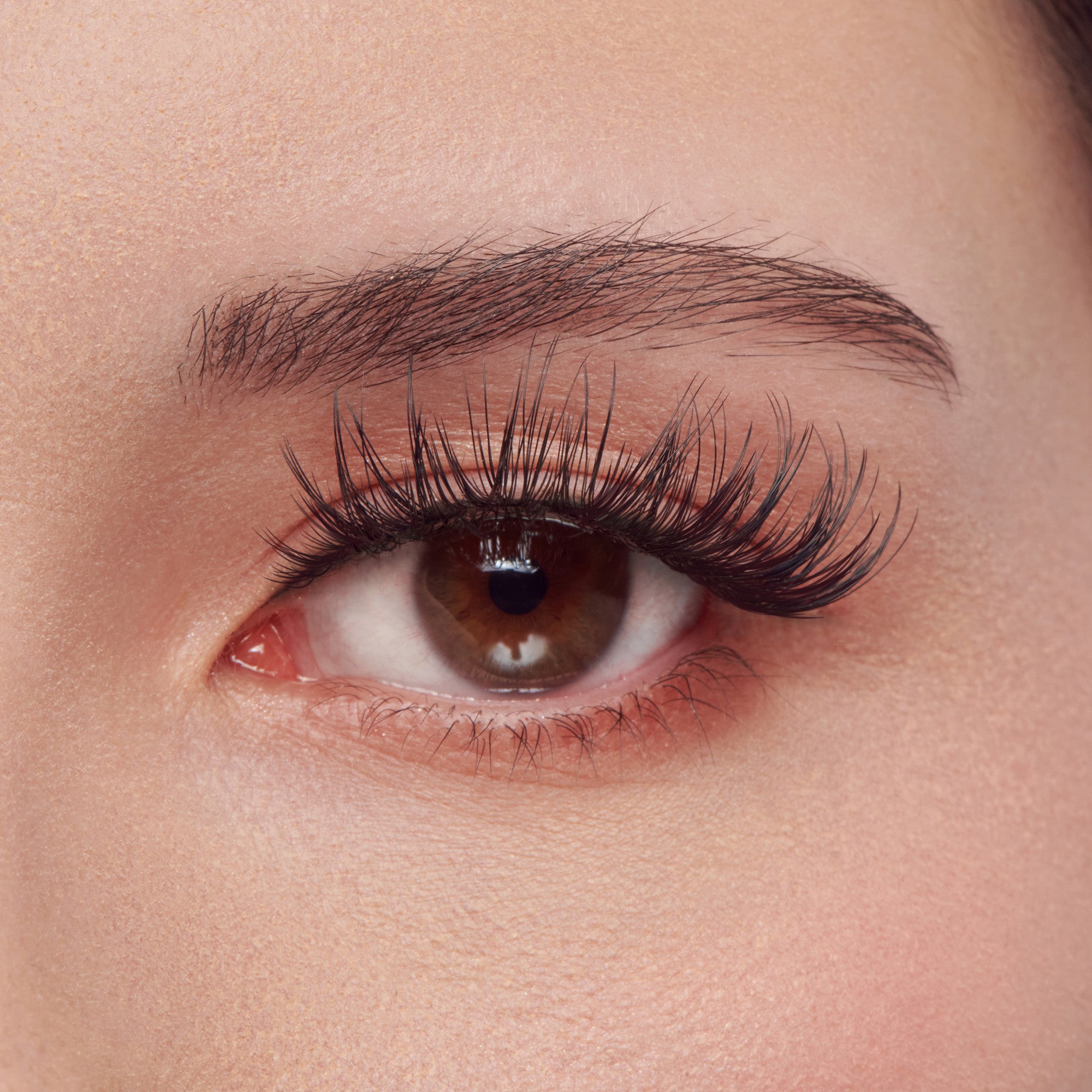 Close-up of a brown eye with long, dark eyelashes and well-groomed eyebrow.