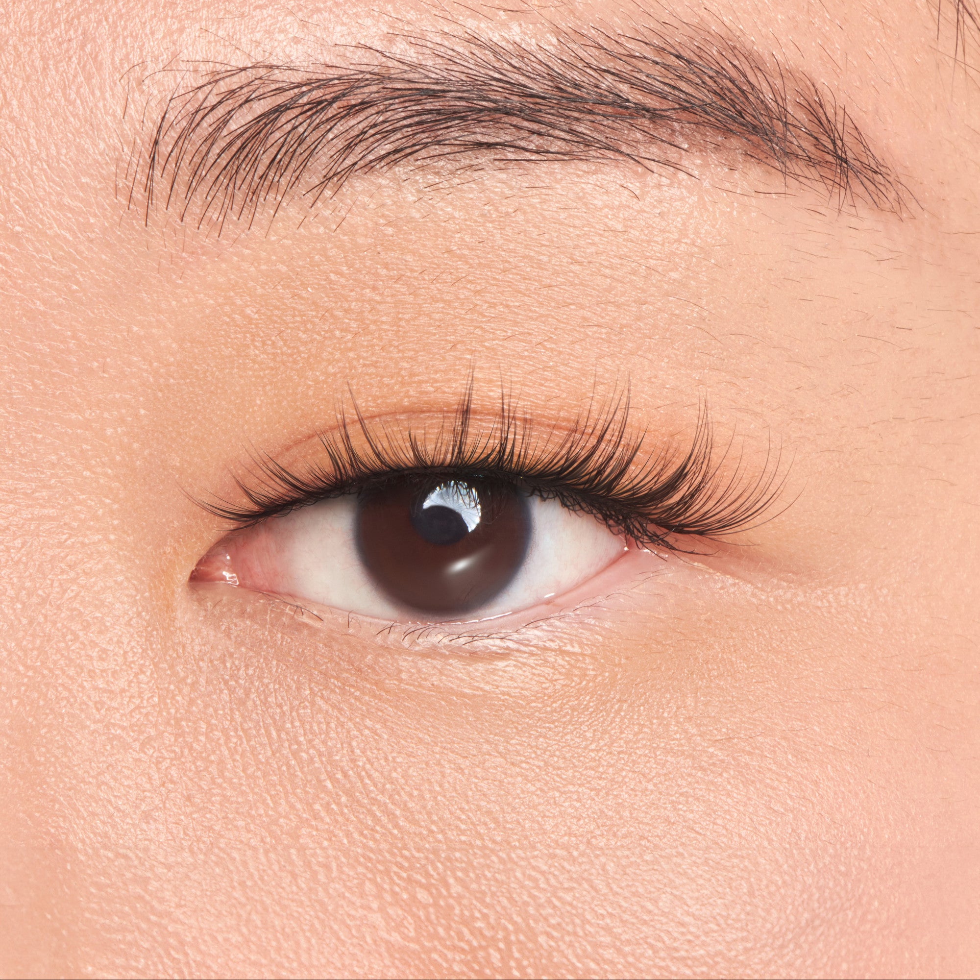 The image features a close-up of a human eye, showcasing a smooth, light skin tone around the eye area. The eye itself is brown, with long, curled eyelashes that enhance its appearance. The eyebrow above is well-groomed, and the overall look conveys a sense of beauty and detail. The focus is on the eye, highlighting its features and the natural texture of the skin.