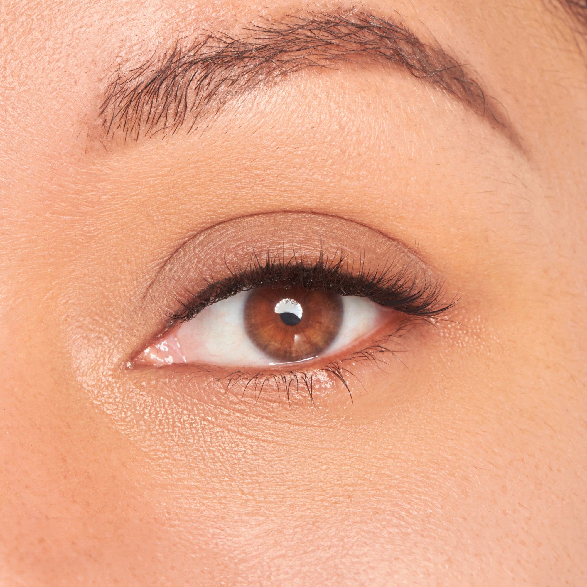 Close-up of a brown eye with natural-looking, individually applied eyelash extensions enhancing lash length and volume.