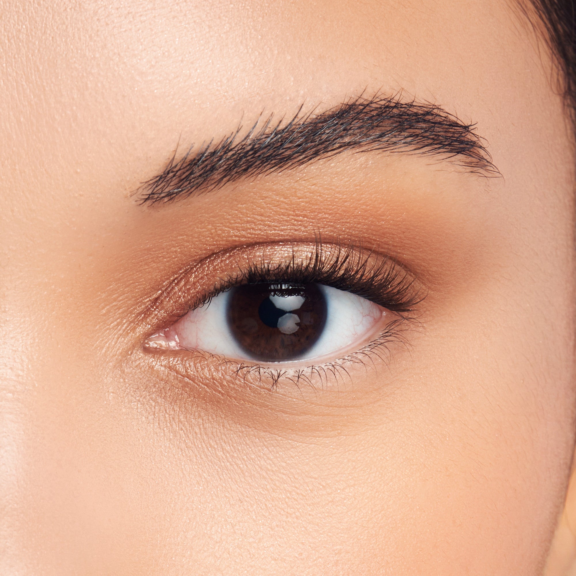 Close-up of a brown eye with long, natural-looking false eyelashes and warm, shimmery beige eyeshadow on the eyelid.