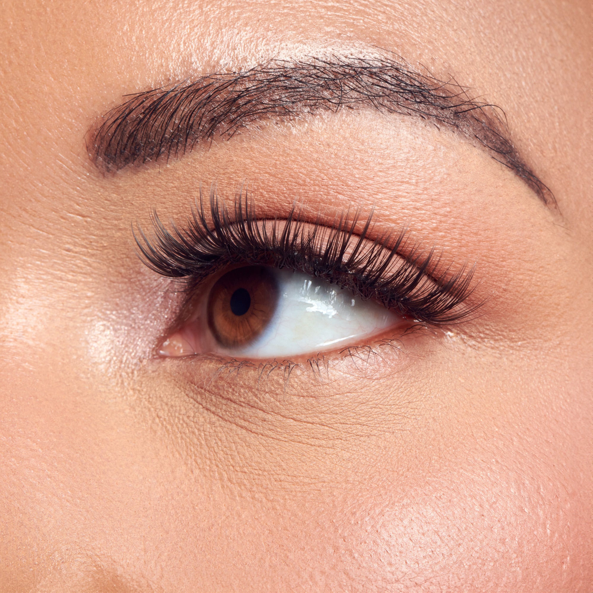 Close-up of eye with dark eyeshadow, defined brow, and black volumized lashes.