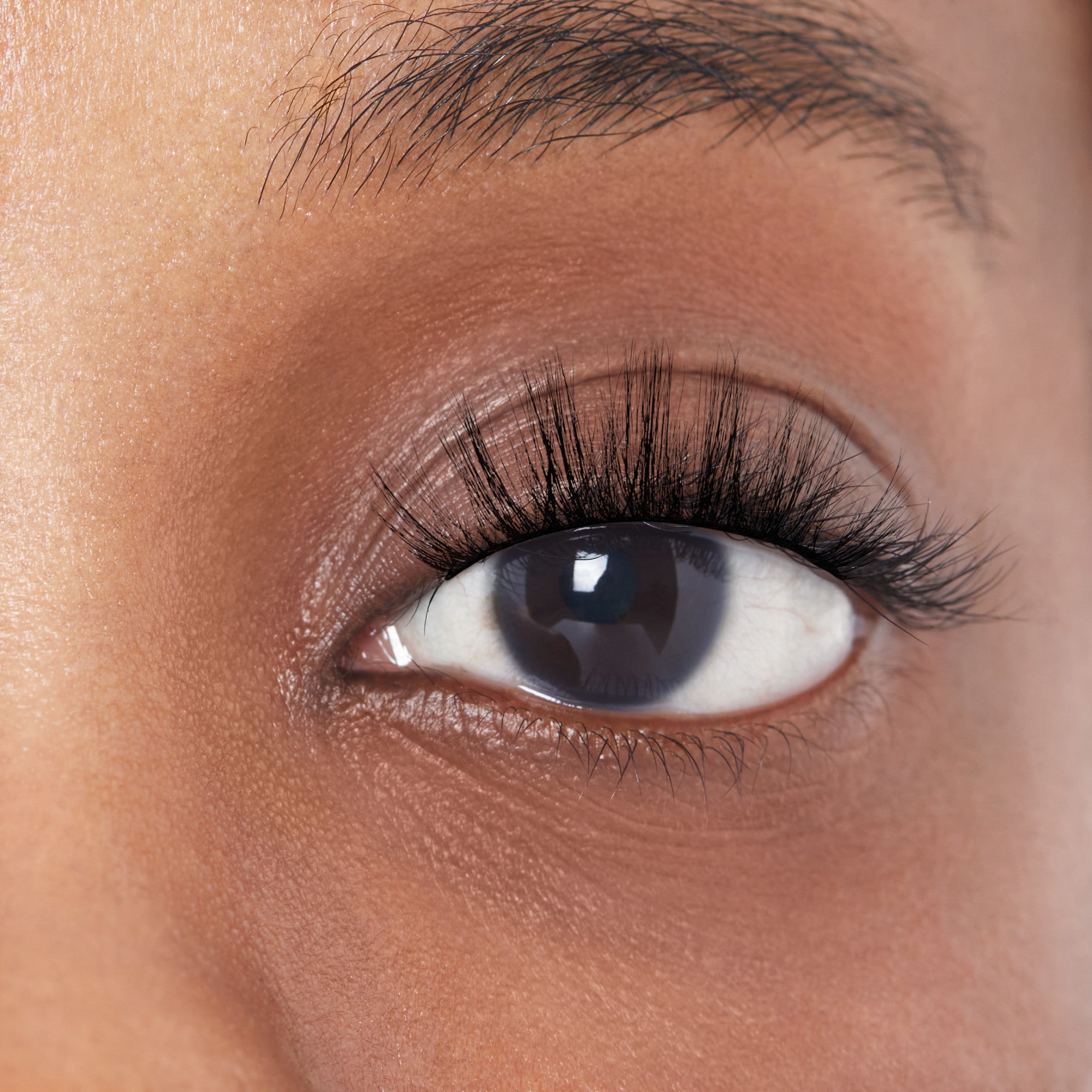 Close-up of a brown eye with long, voluminous matte black false eyelashes applied, showcasing the KISS Lash Couture Matte Cheviot style.