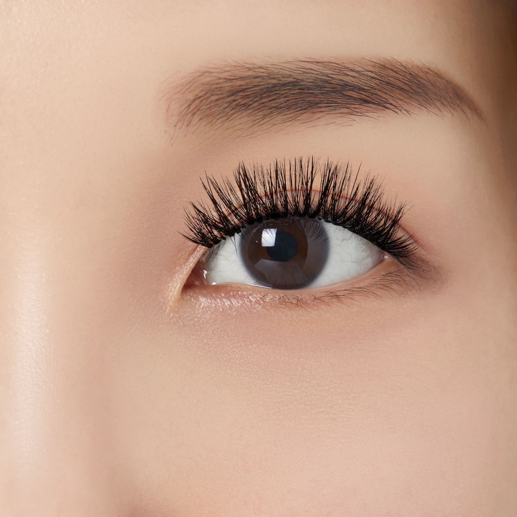 Close-up of a brown eye with thick, voluminous, black false eyelashes applied, highlighting the dramatic length and fullness of the KISS Lash Couture LuXtensions.