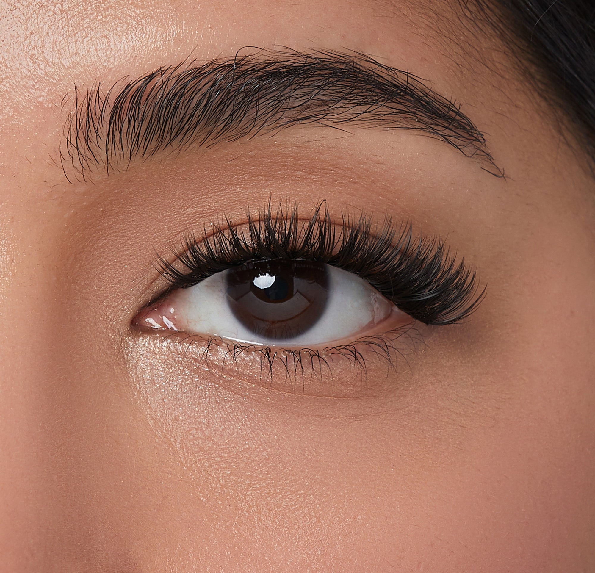 Close-up of a brown eye with full, dark, voluminous false eyelashes applied, showing natural skin texture and well-groomed eyebrow.