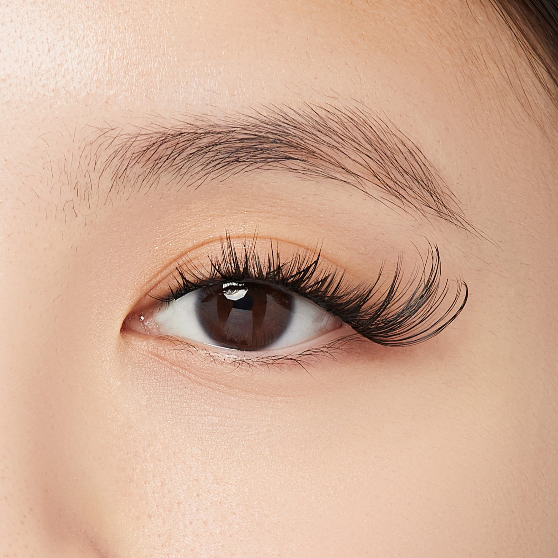 Close-up of a brown eye with long, voluminous black false eyelashes applied, featuring a wispy cat eye style enhancing the outer corner.