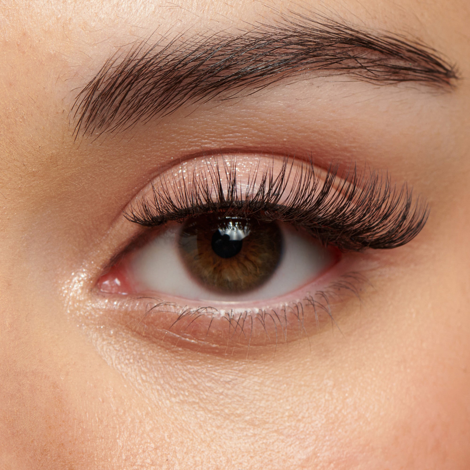Close-up of a brown eye with long, thick eyelashes
