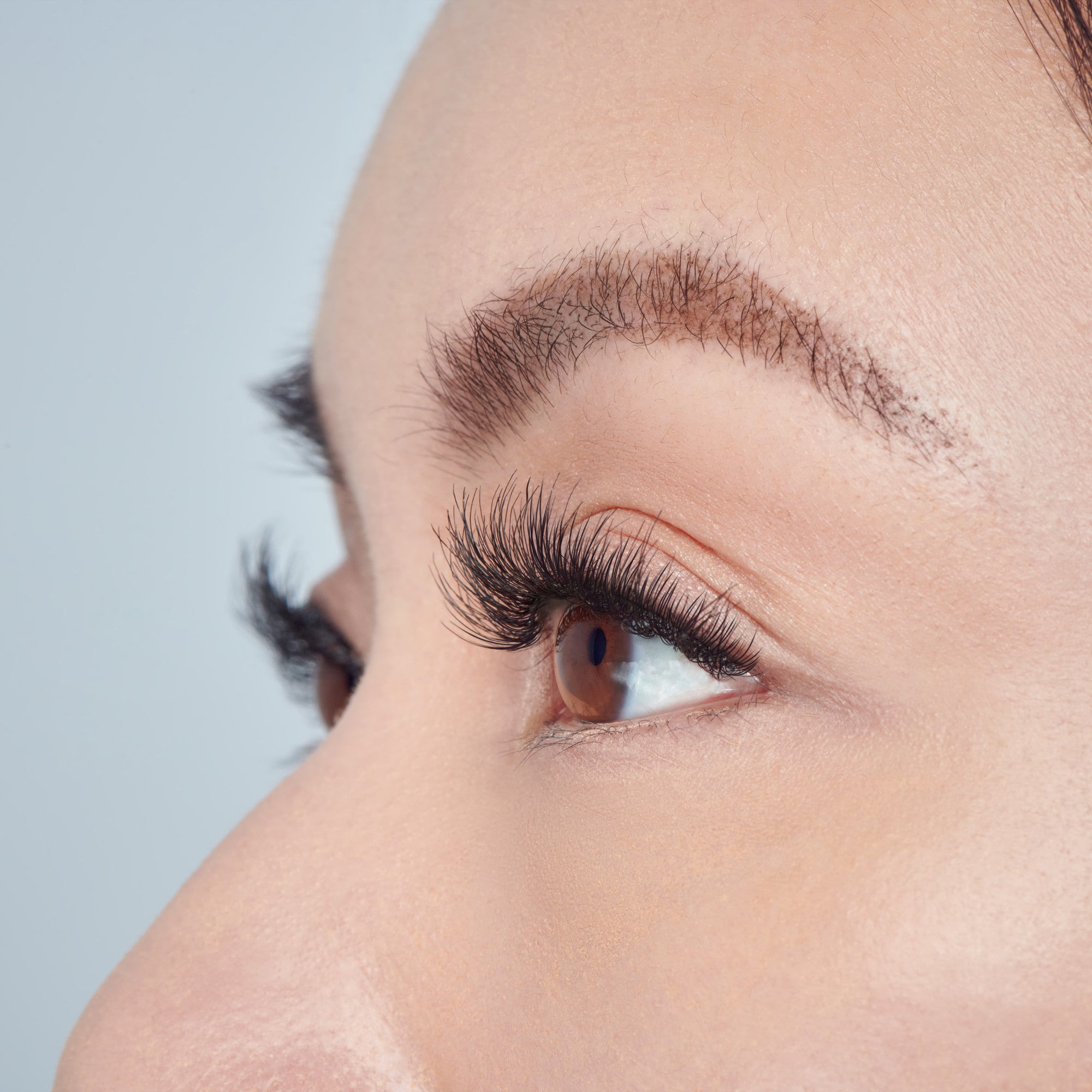 Close-up side view of a brown eye with fluffy, natural-looking false eyelashes applied, showing full length and curl against fair skin.