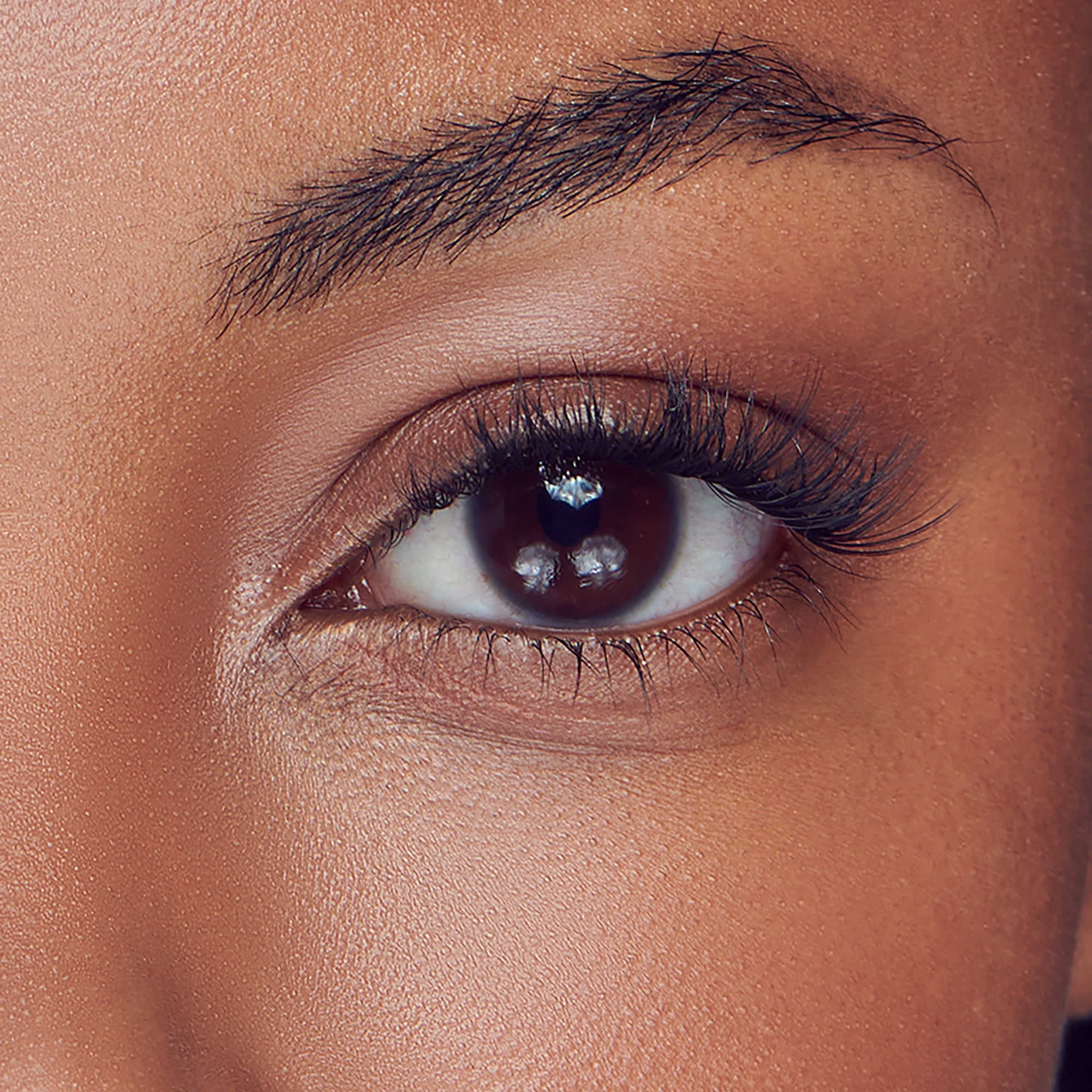 Close-up of a brown eye with natural-looking, lengthened eyelashes and well-groomed eyebrows on medium-dark skin tone.