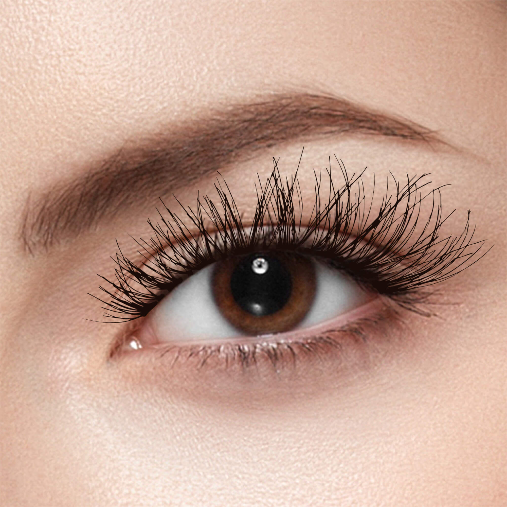 Close-up view of a brown eye wearing long, wispy black false eyelashes, designed to enhance natural lash volume and length.