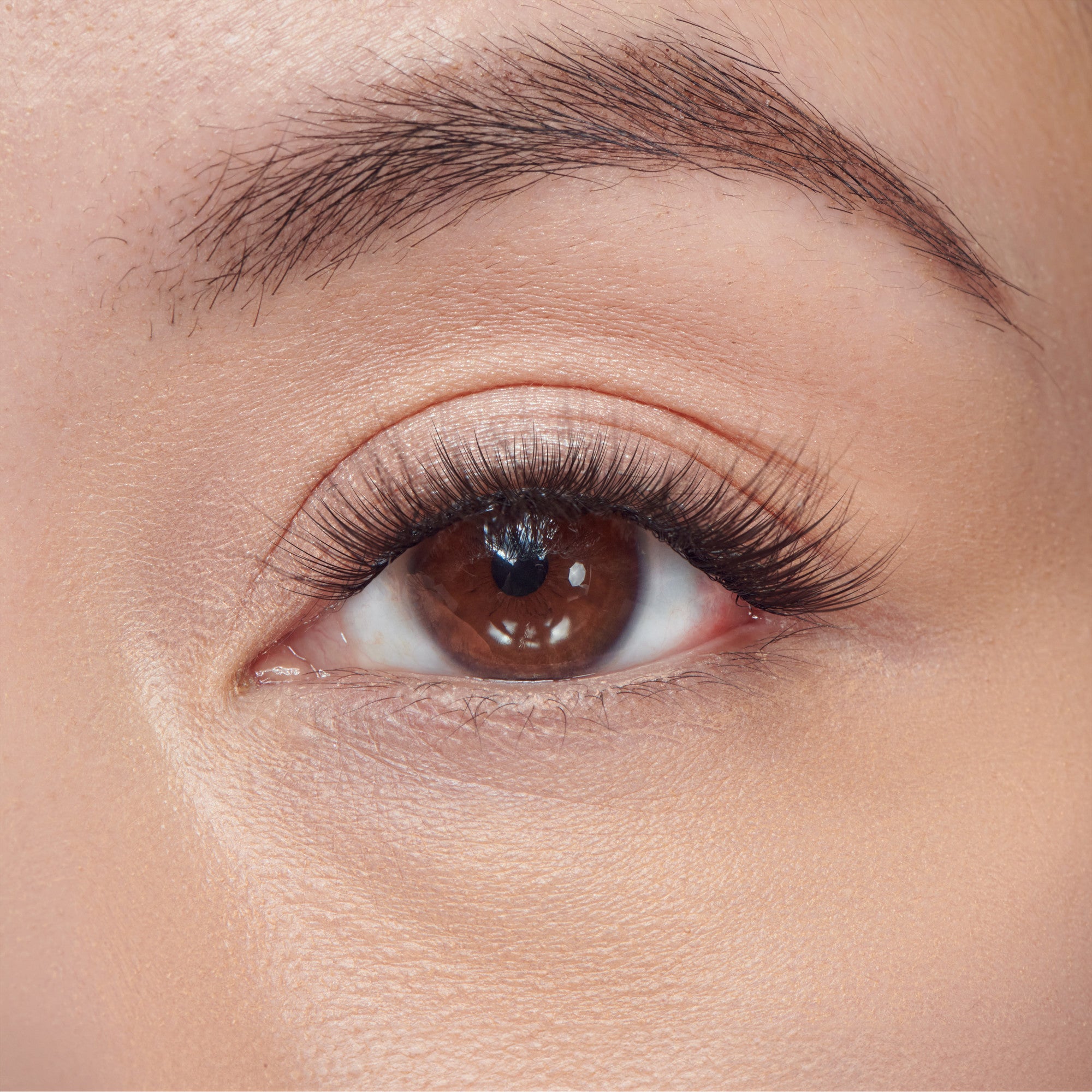 Close-up view of a brown eye wearing natural-looking, wispy faux mink false eyelashes that enhance length and volume.