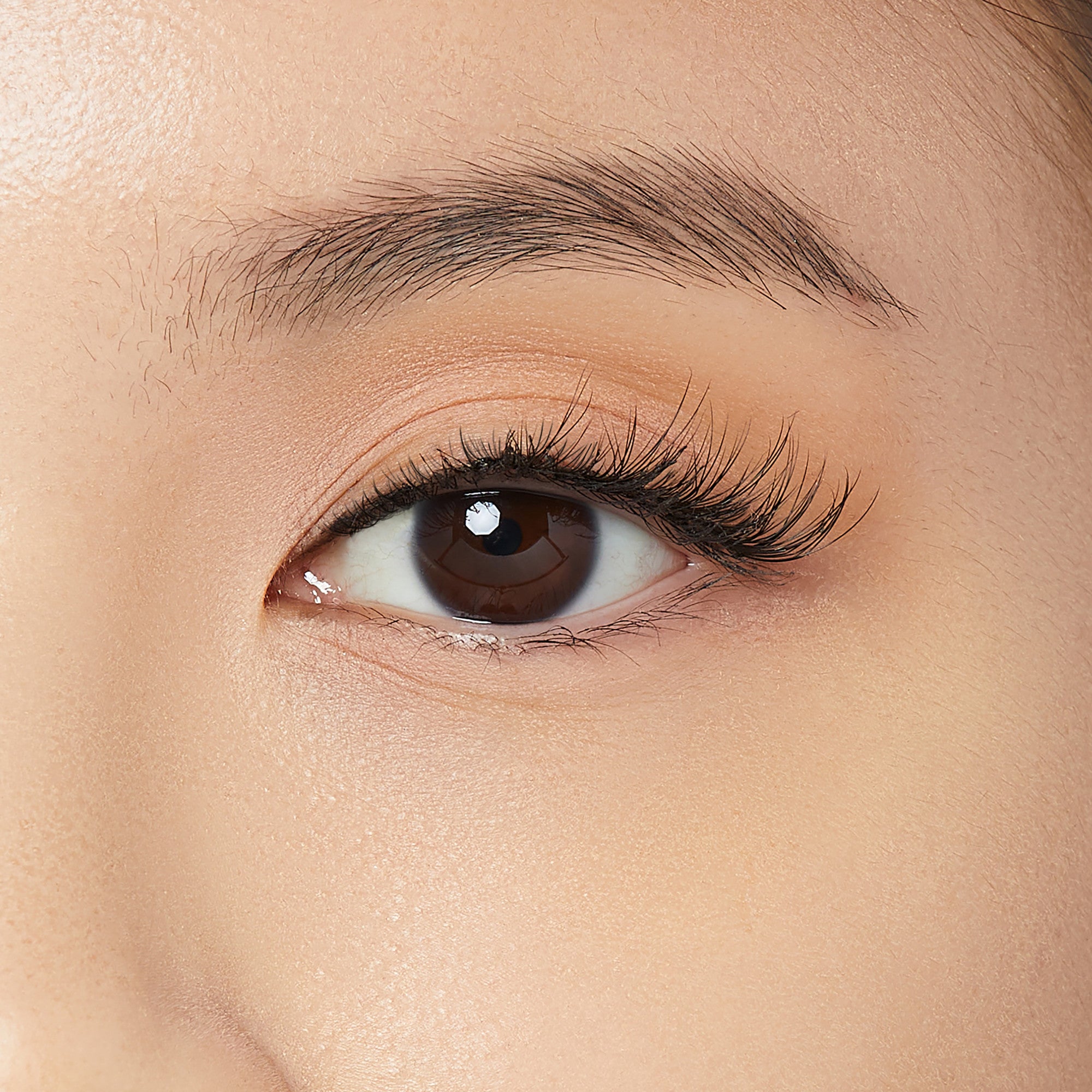 Close-up of a brown eye with natural-looking, curled half lashes applied, featuring soft, light brown eyeshadow and well-groomed eyebrow.
