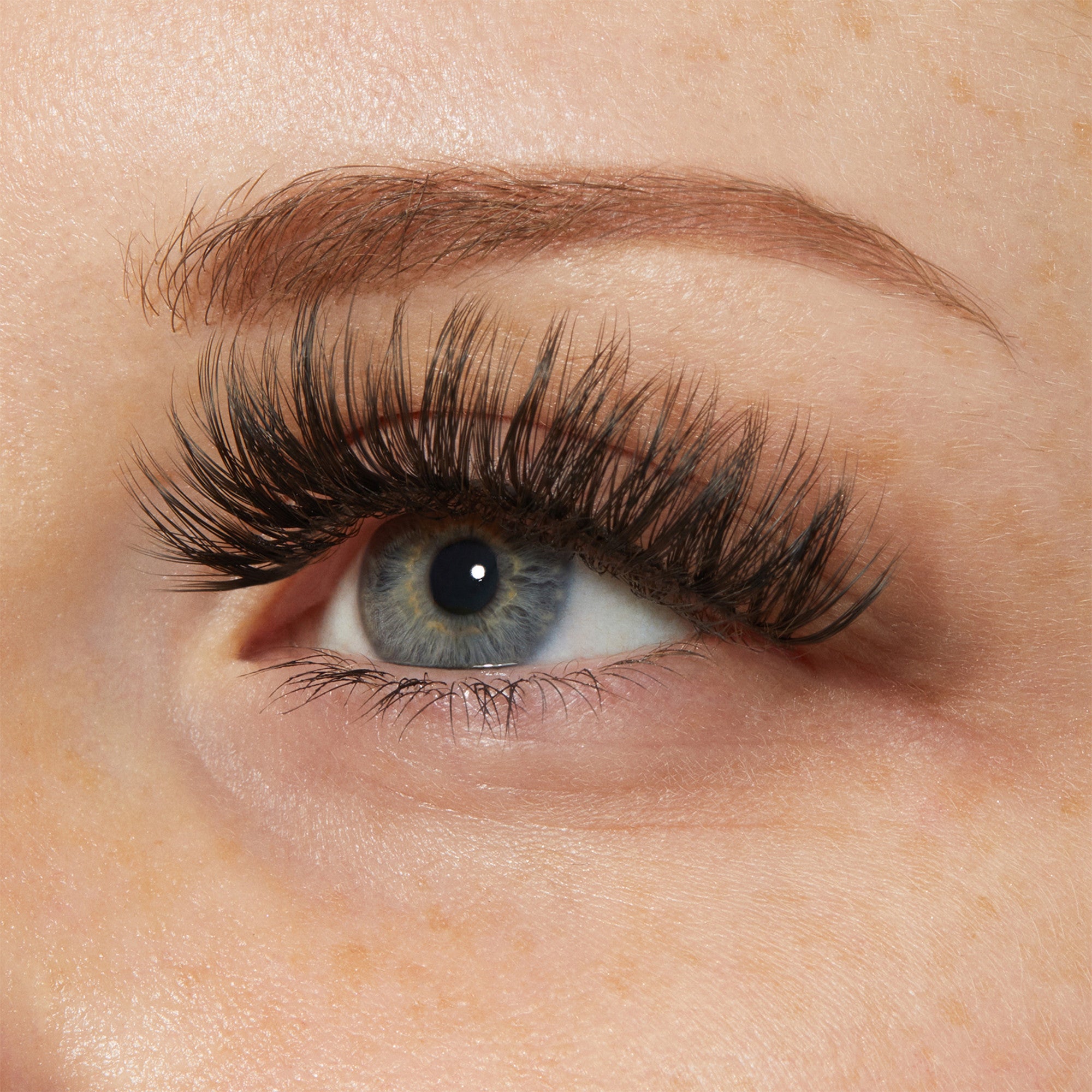 Close-up of a blue eye with thick, long, and voluminous black false eyelashes applied, showcasing dramatic 3D lash effect.