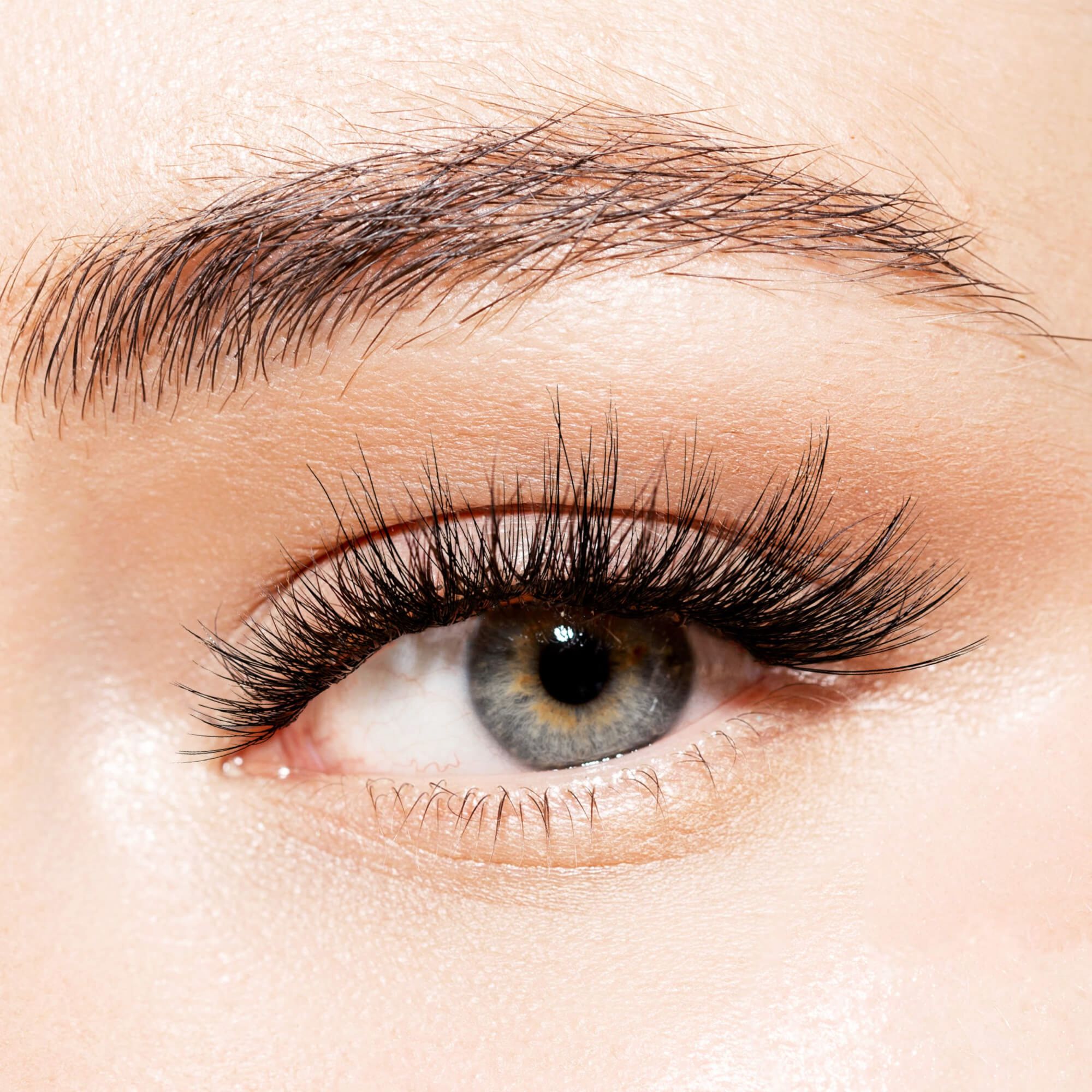 Close-up of a blue eye wearing KISS Lash Couture LuXtension Strip 06 Hollywood false eyelashes, showing long, voluminous black lashes and a natural eyebrow.