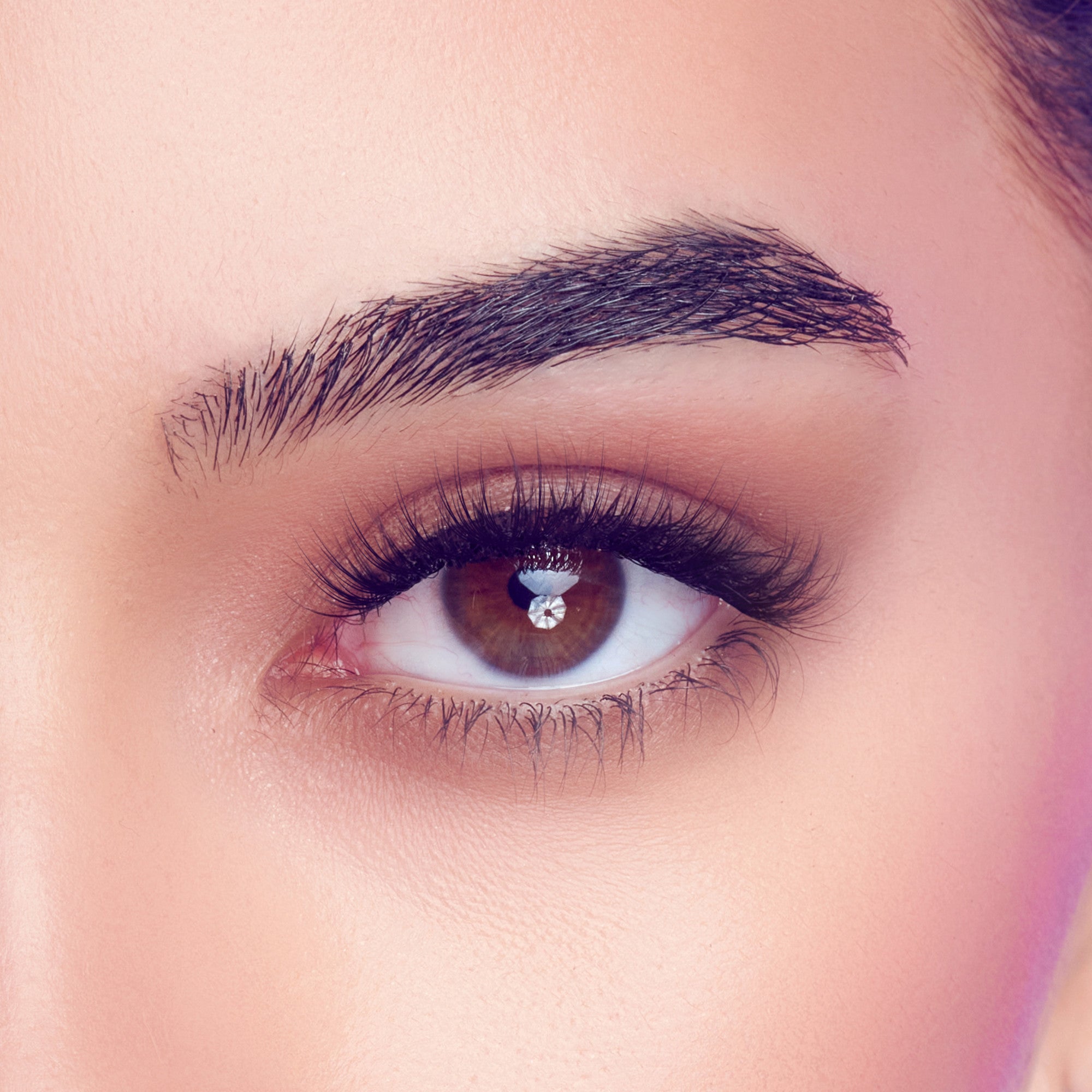Close-up of a brown eye with full, natural-looking false eyelashes applied, showing light wispy lash strands and well-groomed eyebrow.