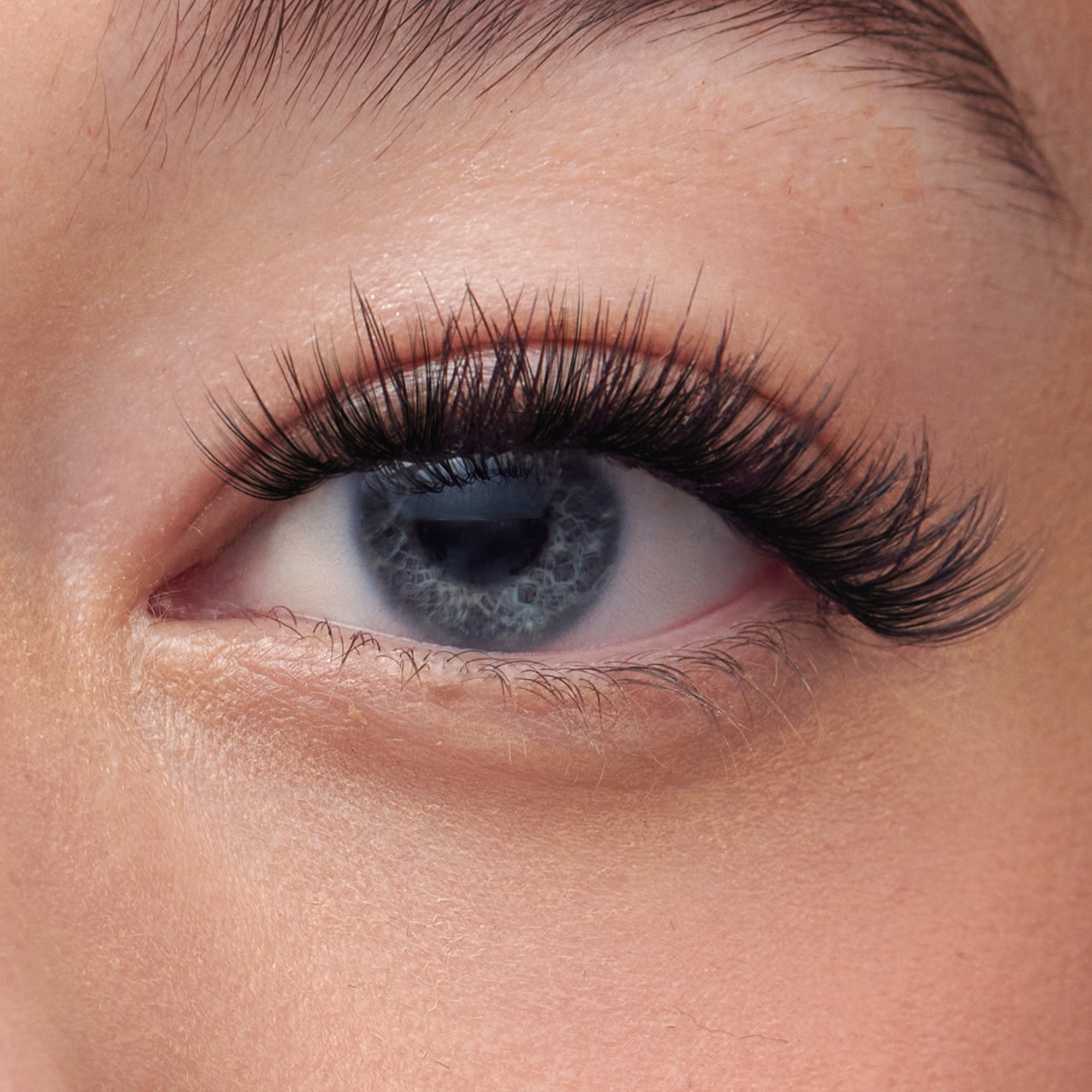Close-up of blue eye with full black false lashes and warm eyeshadow.