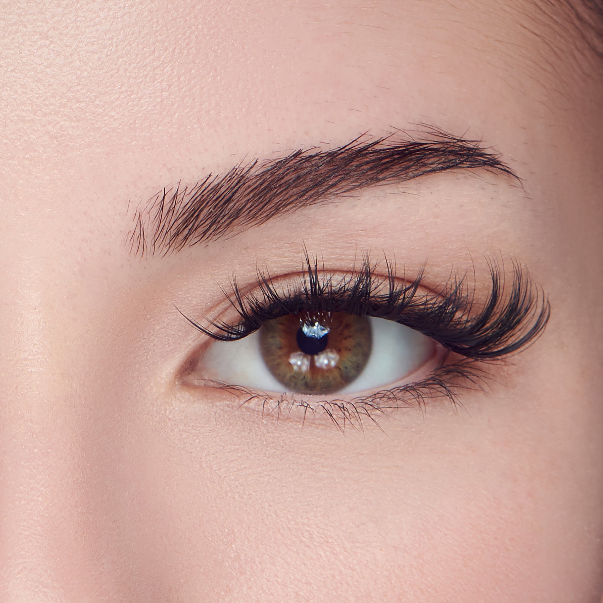 Close-up view of a brown eye with long, curly, self-adhesive false eyelashes applied, showing natural skin and a well-groomed eyebrow.