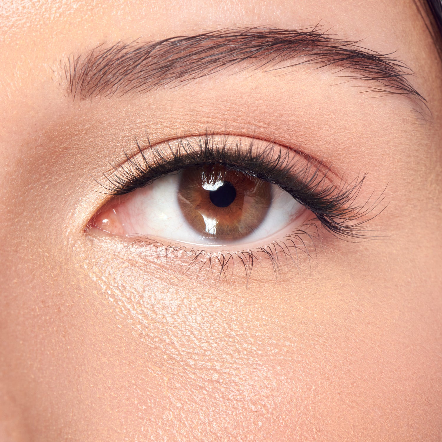 Close-up of brown eye with black eyeliner and defined eyebrow on fair skin.