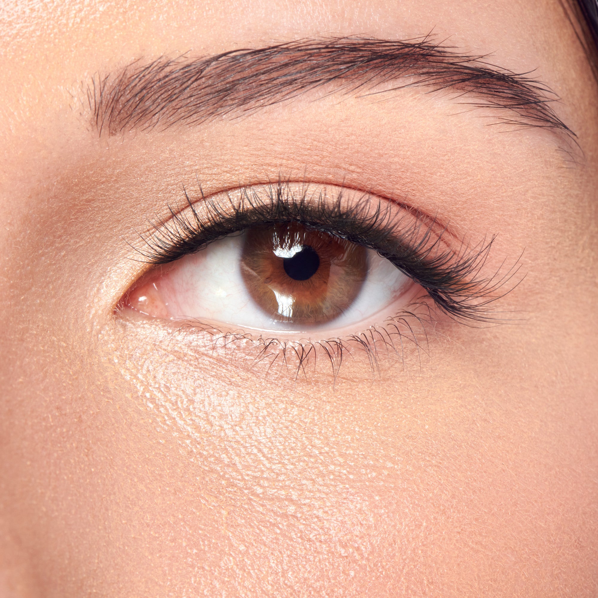 Close-up of brown eye with black eyeliner and defined eyebrow on fair skin.