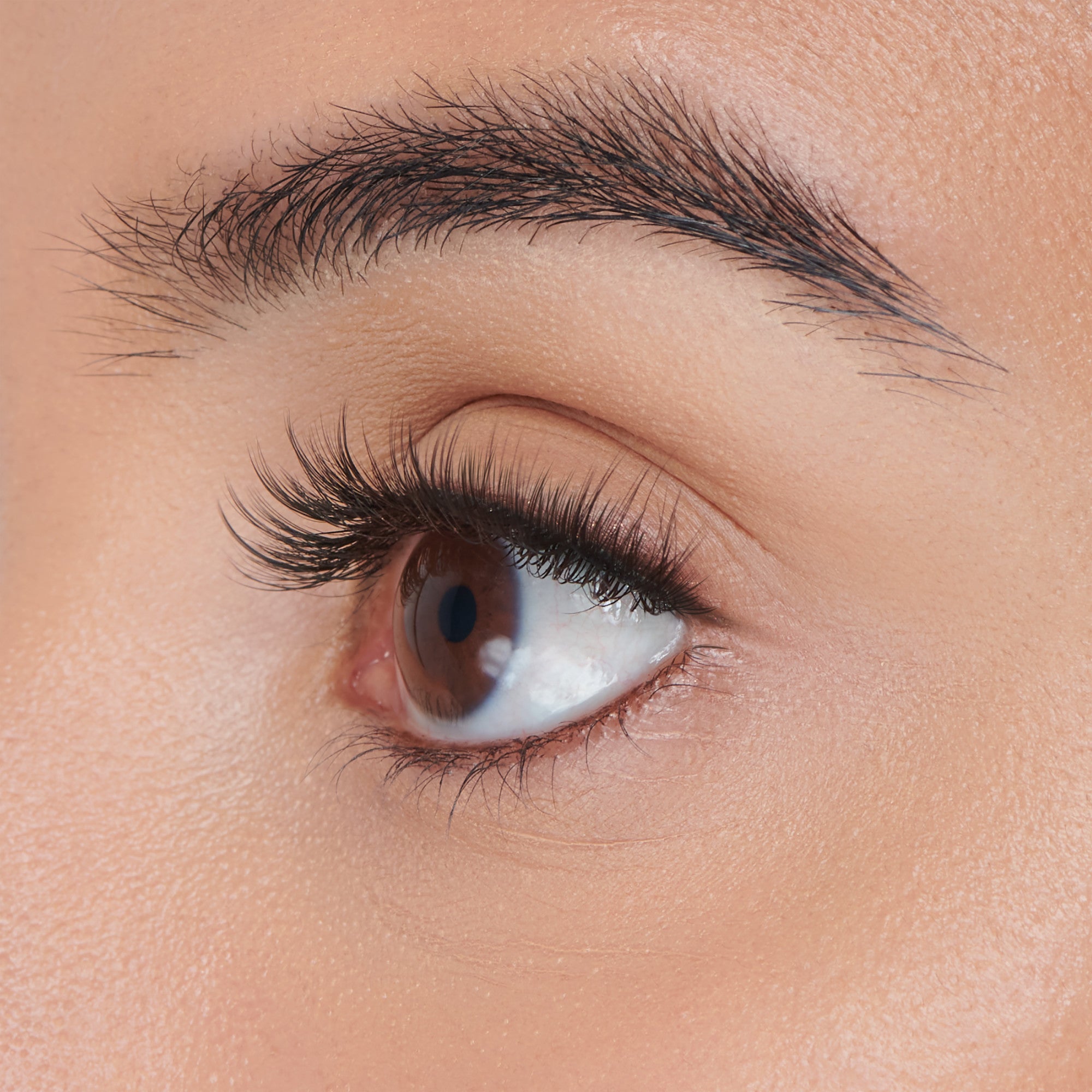 Close-up side view of a brown eye with long, natural-looking black false eyelashes applied, showcasing KISS The New Natural Trio Lashes in the Pearl Earring style.