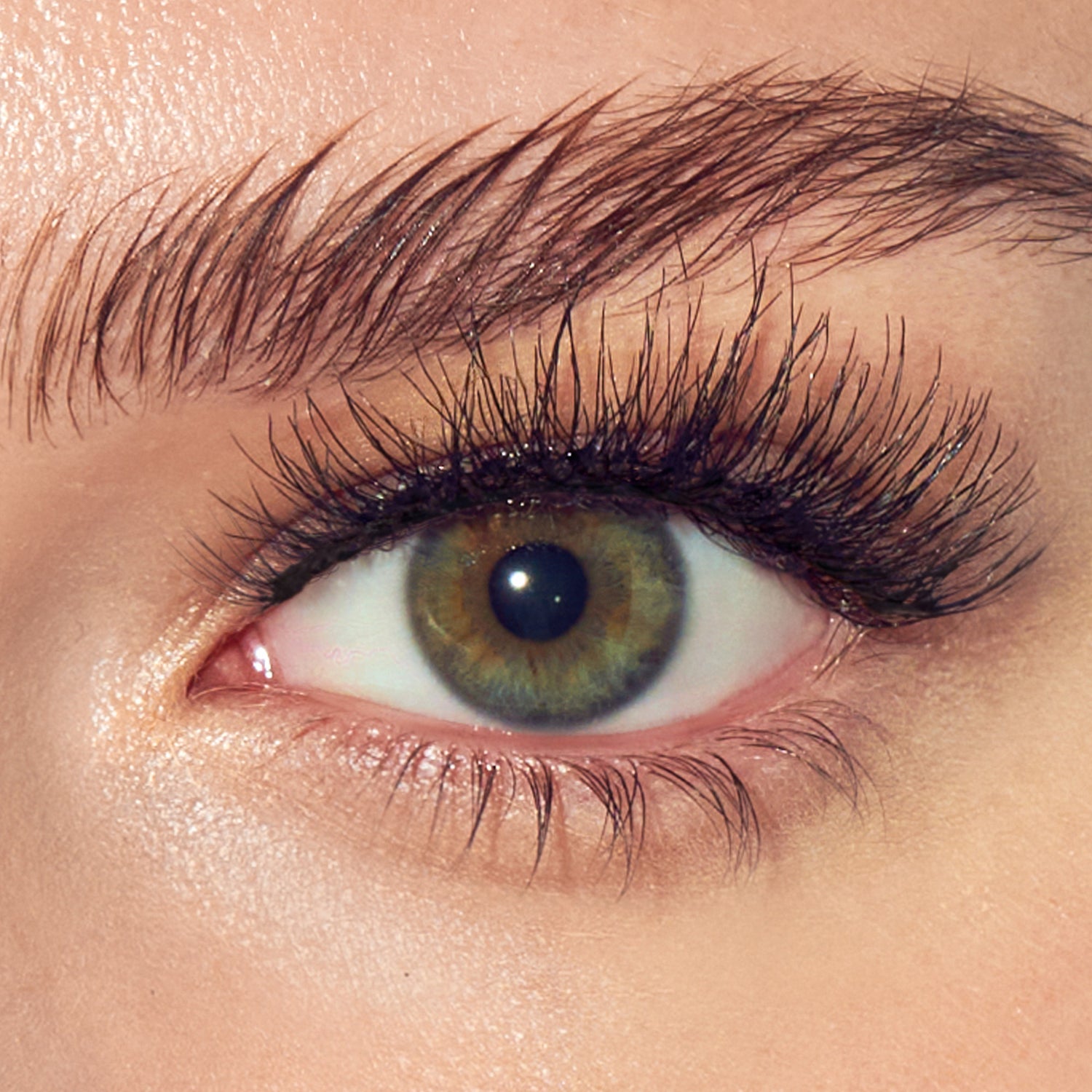 Close-up of eye with hazel iris, dark eyelashes, and groomed eyebrow.