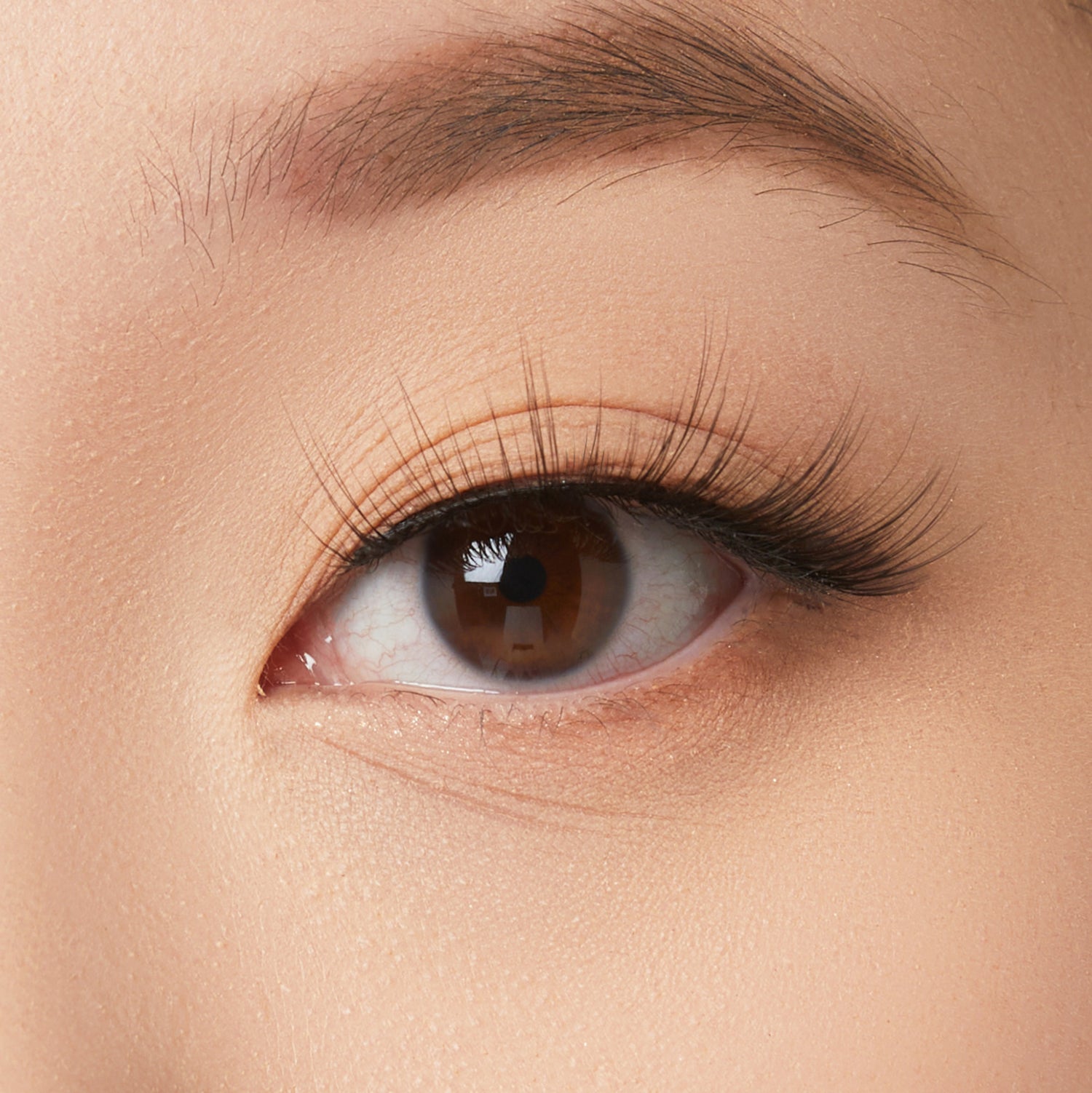 Close-up of a brown eye with defined eyebrow and voluminous black lashes on fair skin.