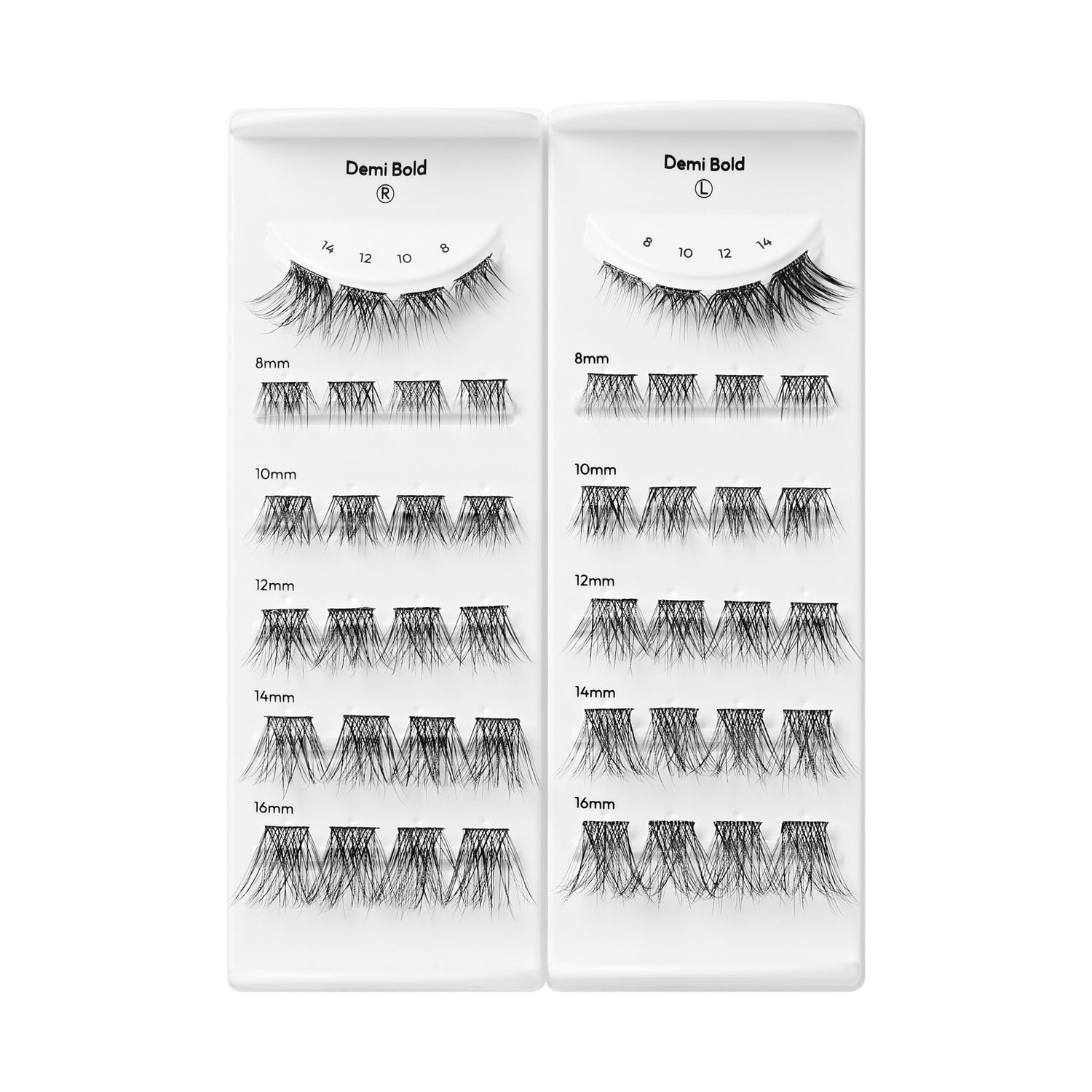 Demi Bold false eyelash variety pack displaying 8mm-16mm lengths in multiple styles.