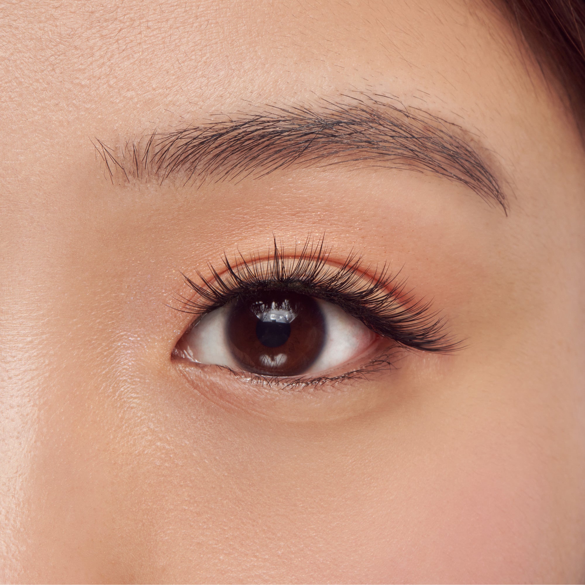 Kiss Lash Couture Faux False Eyelashes Extensions Venus | 60 Clusters, Cluster Lashes, 12mm-14mm