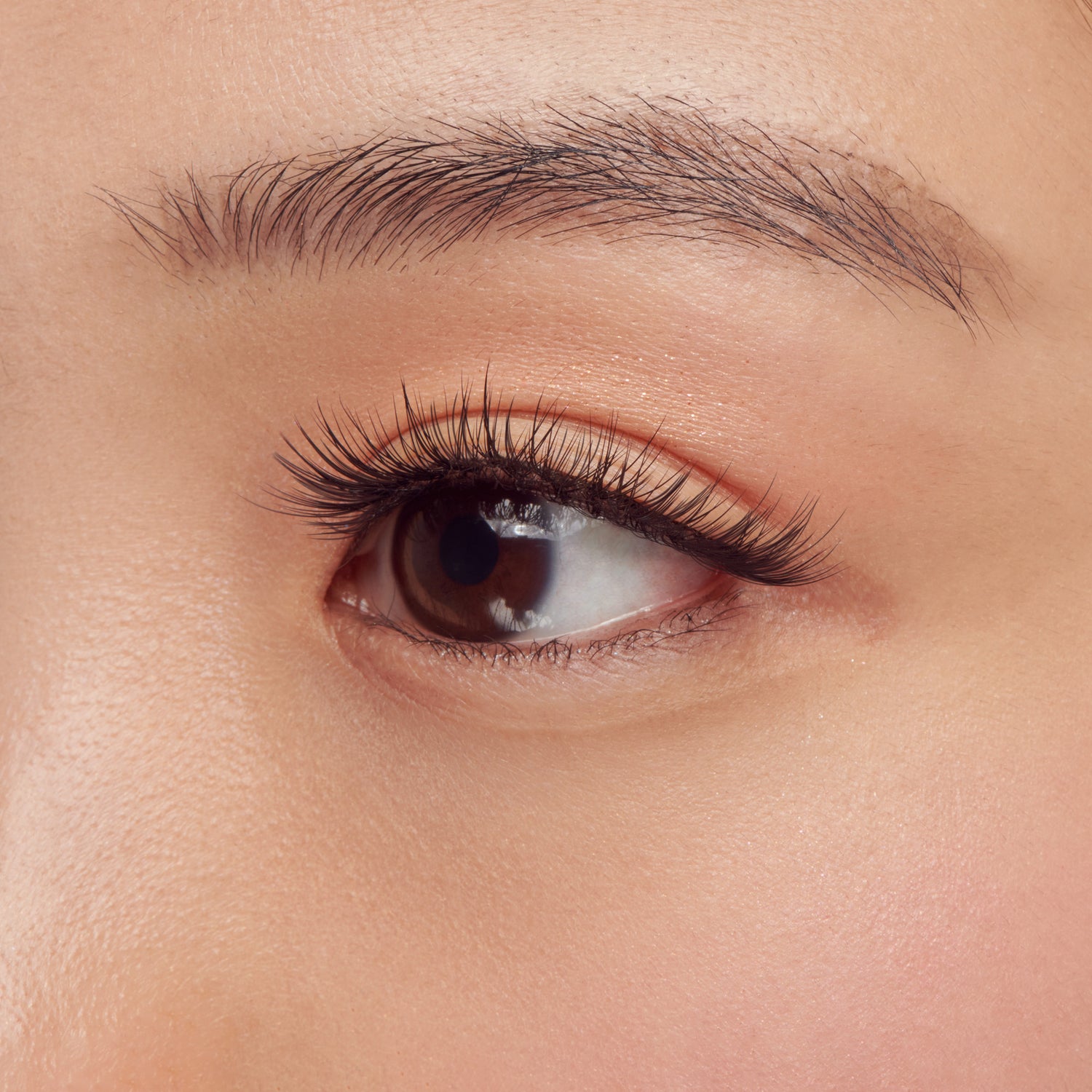 Kiss Lash Couture Faux False Eyelashes Extensions Venus | 60 Clusters, Cluster Lashes, 12mm-14mm