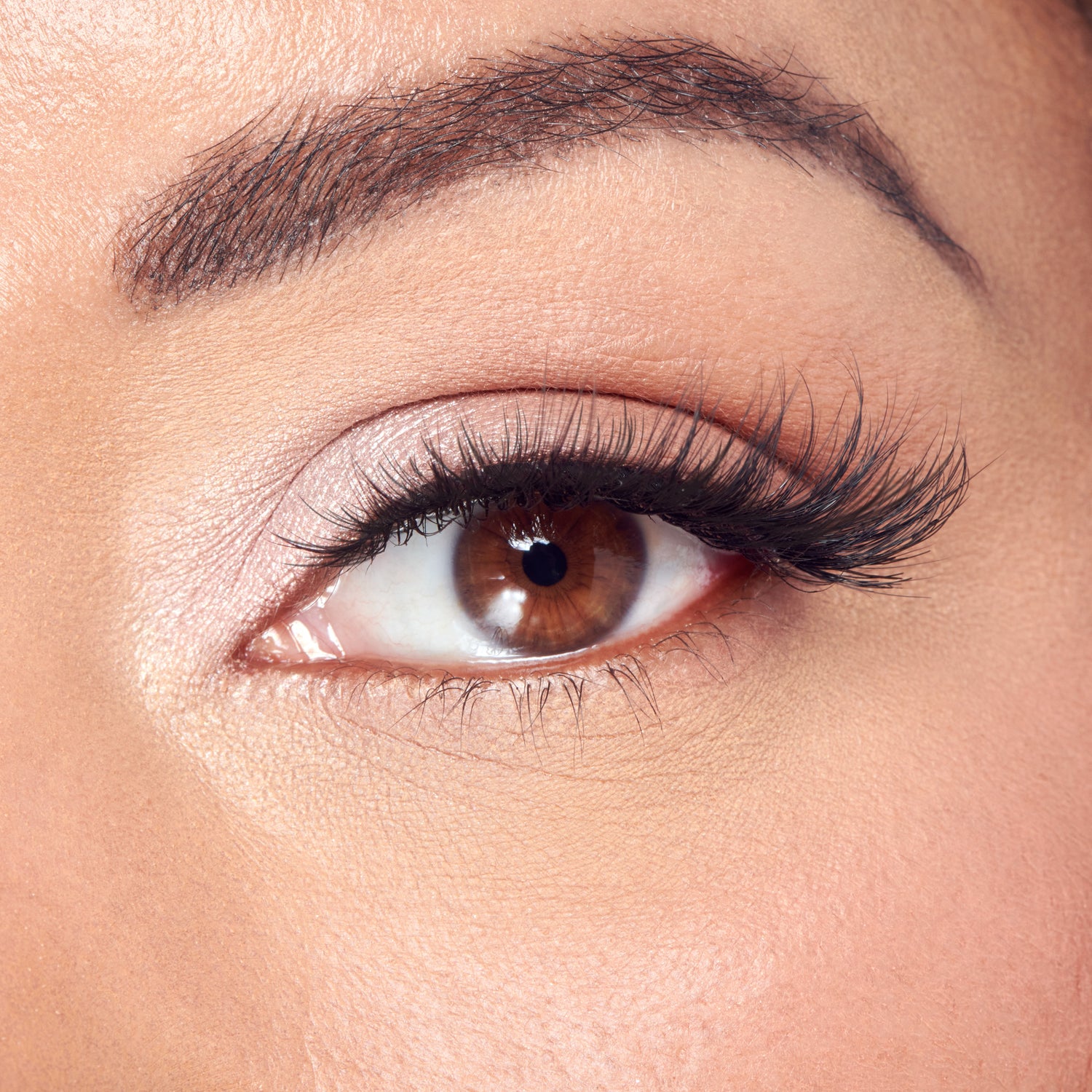 Close-up of a brown eye with defined eyebrow, black eyeliner, and voluminous black lashes.