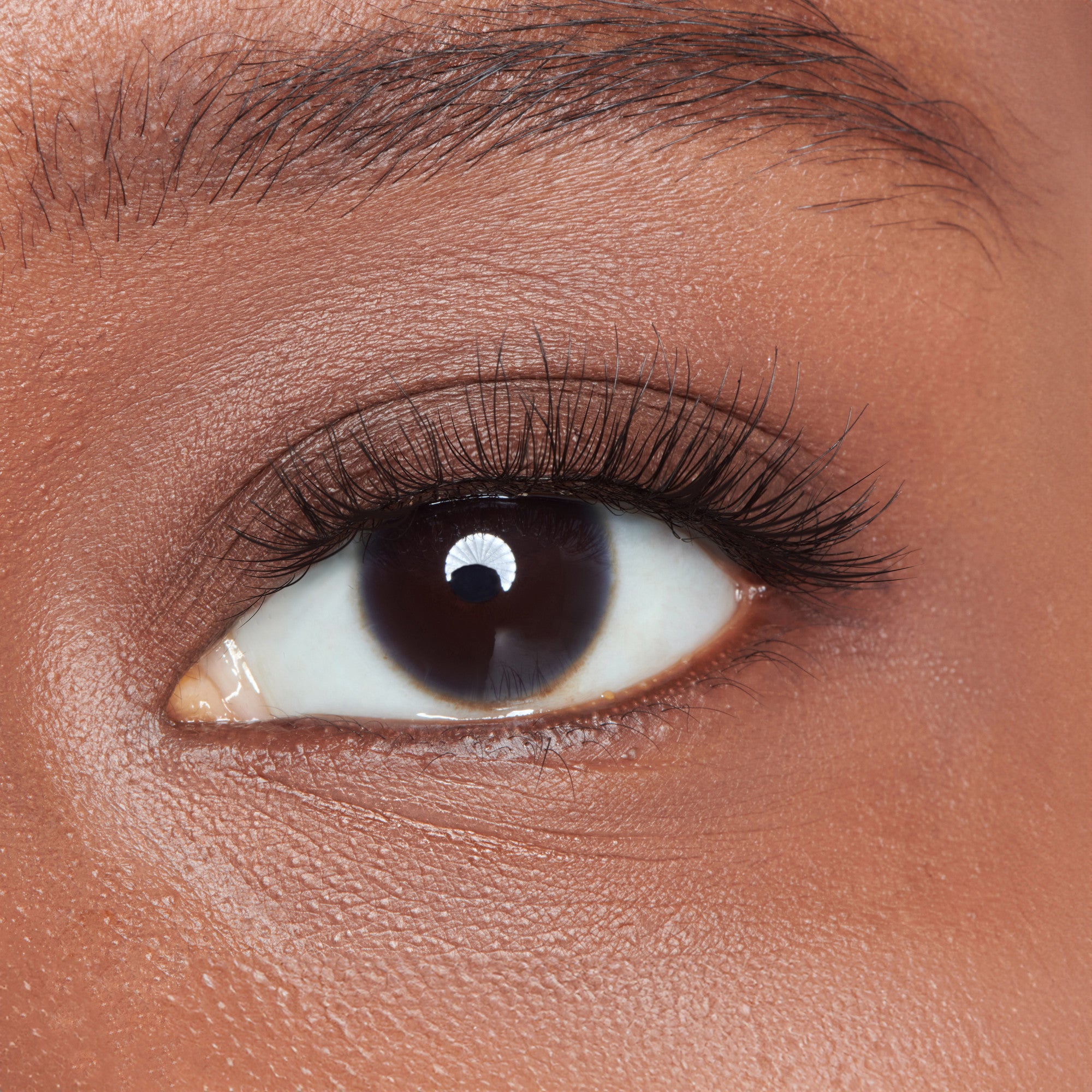 The image features a close-up of a human eye, showcasing a rich, dark iris and a well-defined pupil. The eyelashes are long and prominent, framing the eye beautifully. The skin around the eye is smooth and has a warm tone, highlighting the eye&