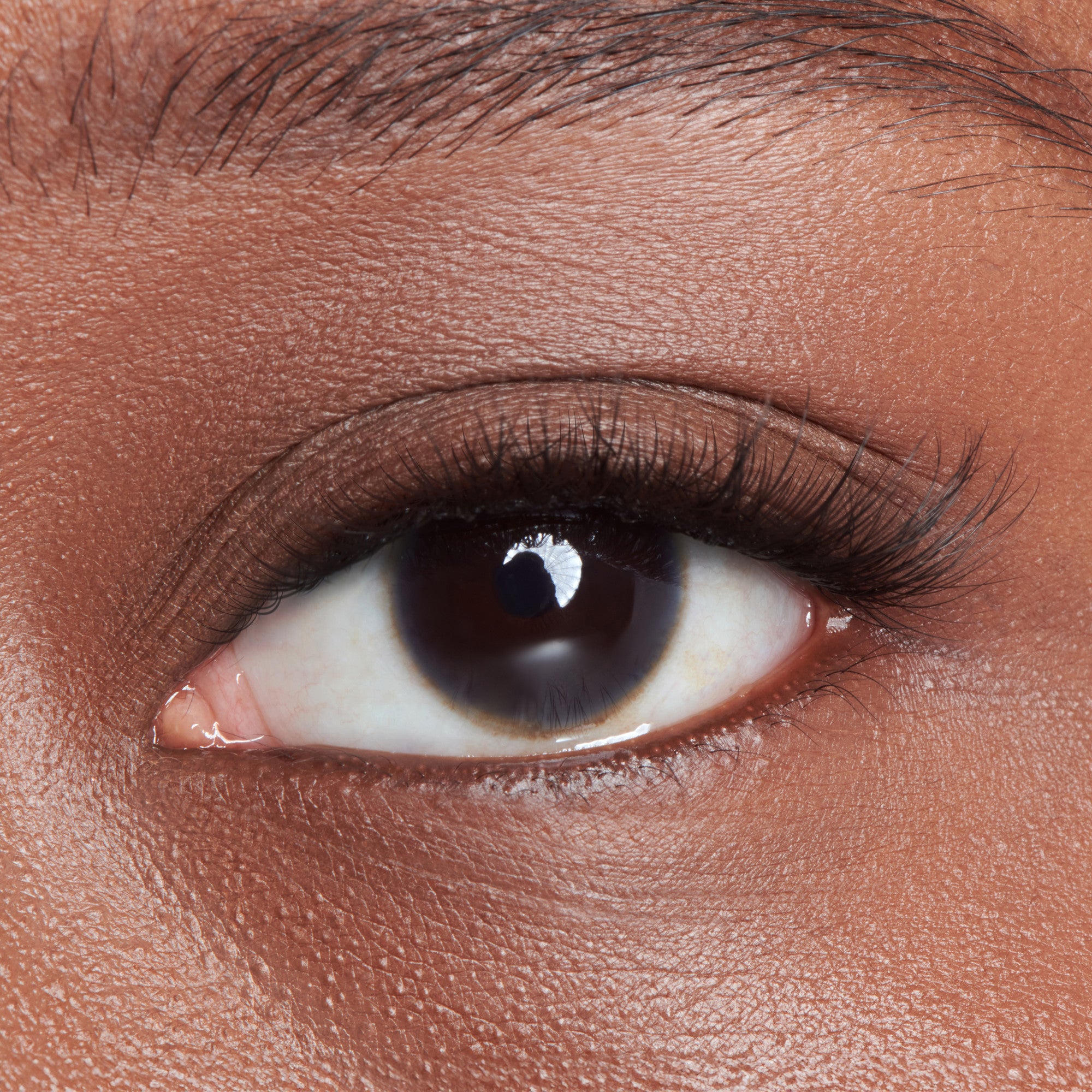 The image features a close-up of a human eye, showcasing rich, dark brown skin surrounding the eye. The eye itself has a deep brown iris and a glossy surface, indicating moisture. Long, dark eyelashes frame the eye, enhancing its expressive appearance. The skin texture around the eye is smooth, with subtle variations in tone. Overall, the image captures the intricate details and beauty of the eye.