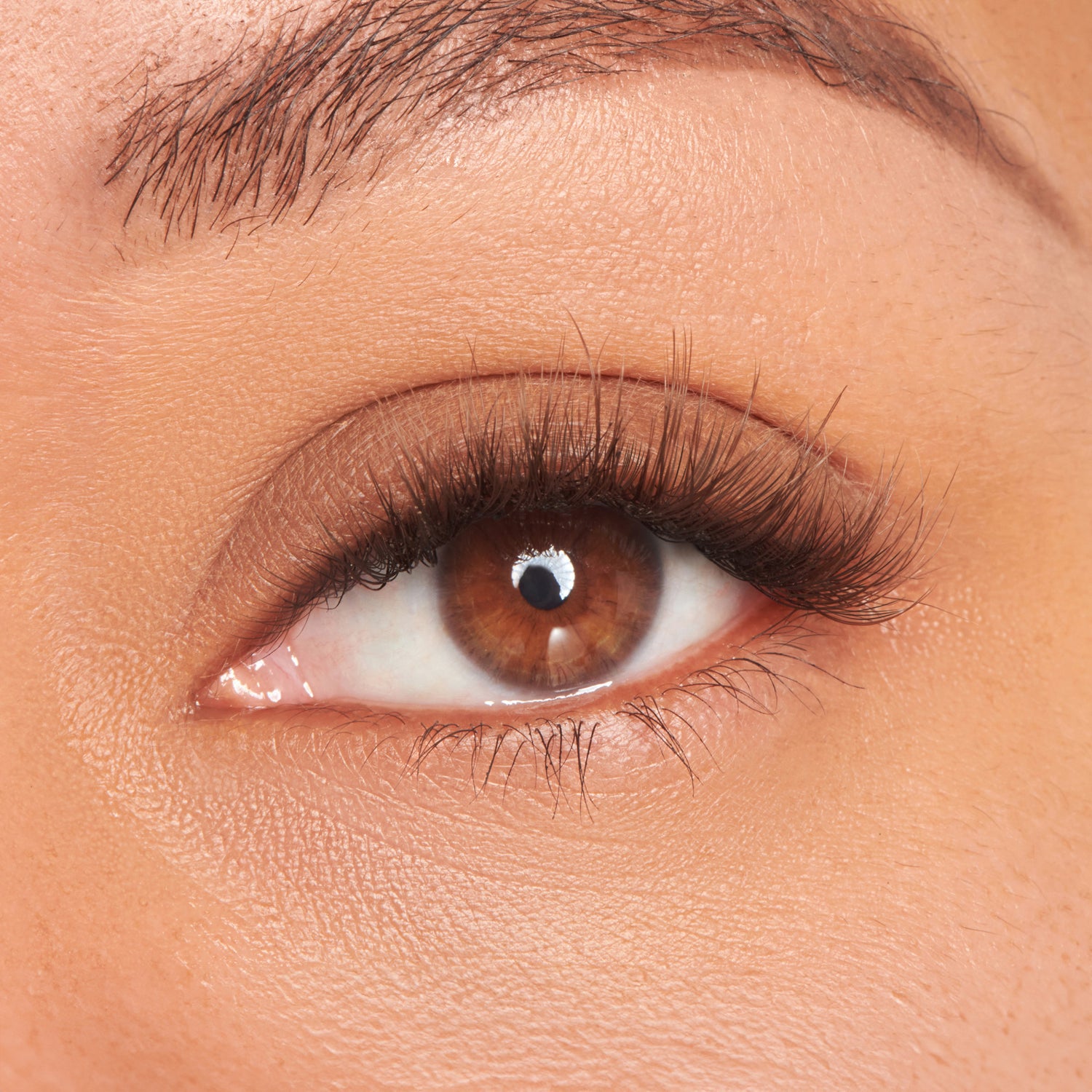 The image features a close-up of a human eye with a rich brown iris. The eye is framed by long, dark eyelashes, and the skin around the eye appears smooth and well-groomed. The overall focus is on the eye, highlighting its details, including the texture of the skin and the depth of the iris. The lighting is soft, enhancing the natural beauty of the eye.